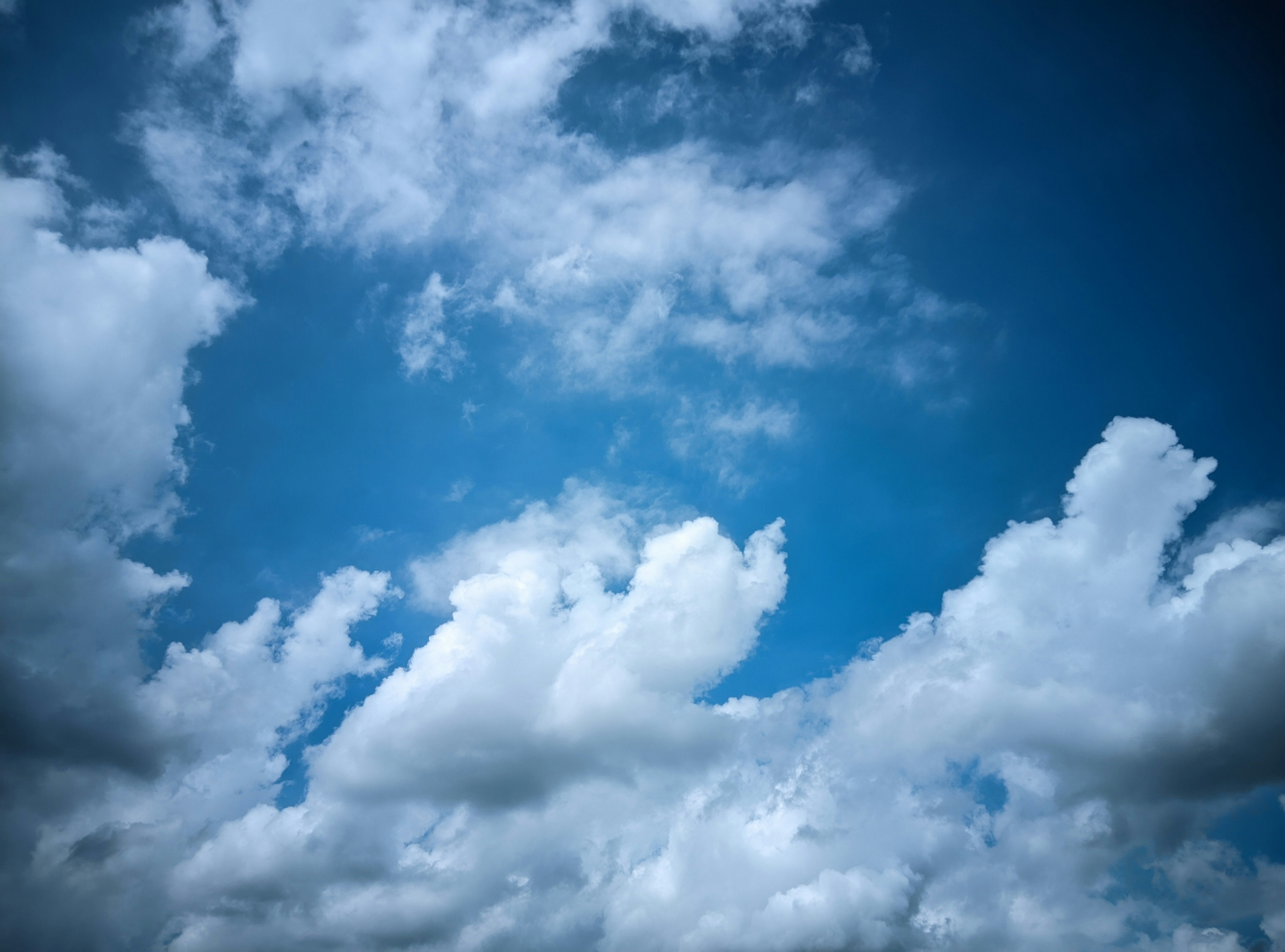 Photo by fayazahmedsunny