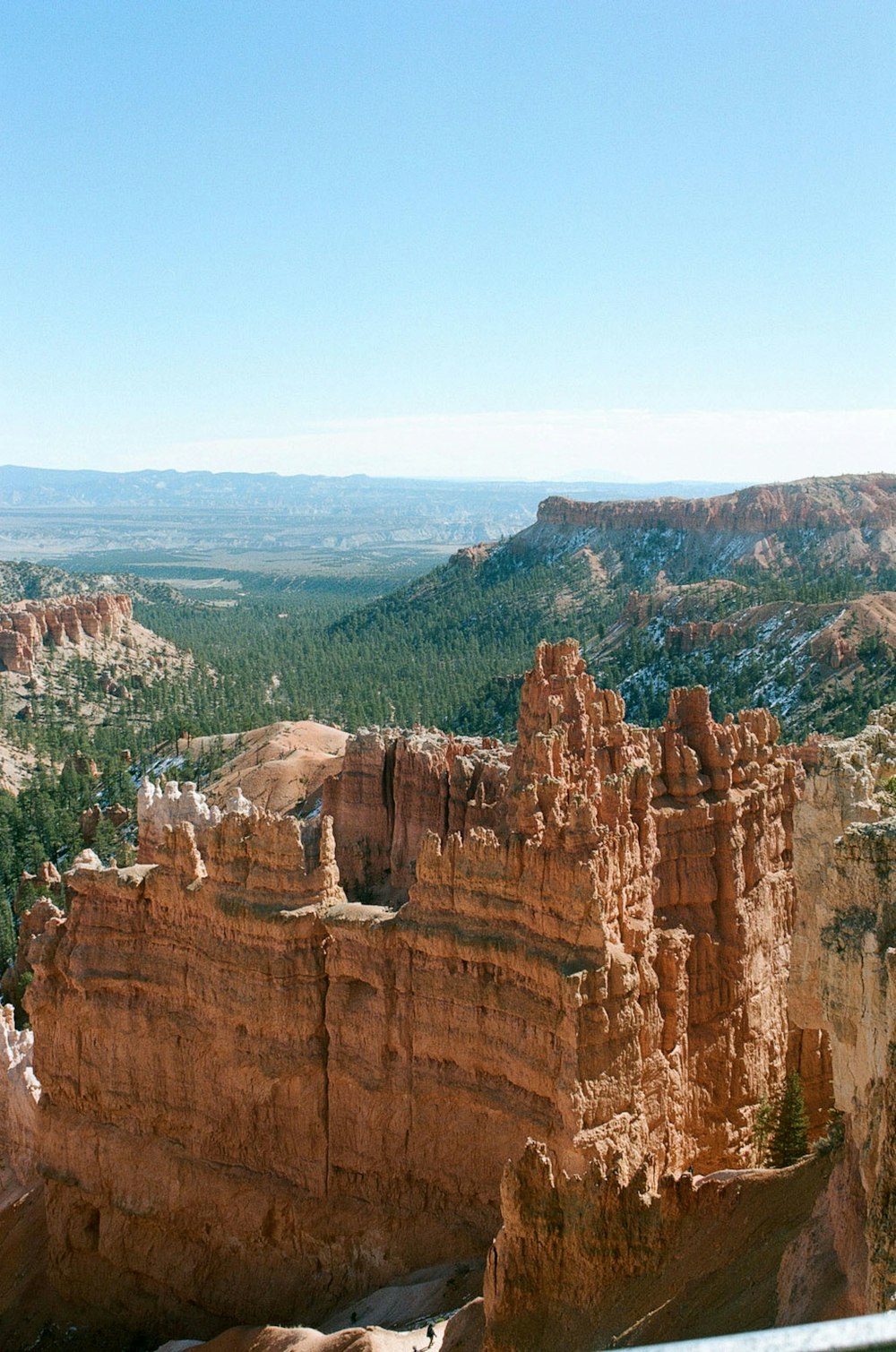 um grande desfiladeiro com árvores com o Parque Nacional Bryce Canyon ao fundo