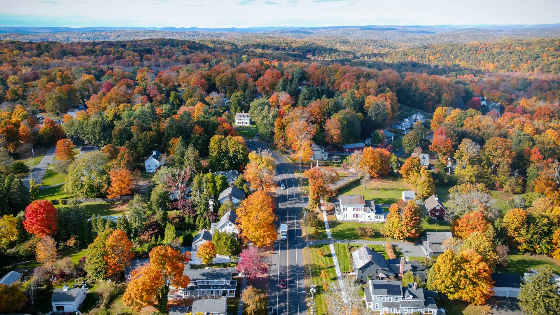 a group of houses and trees