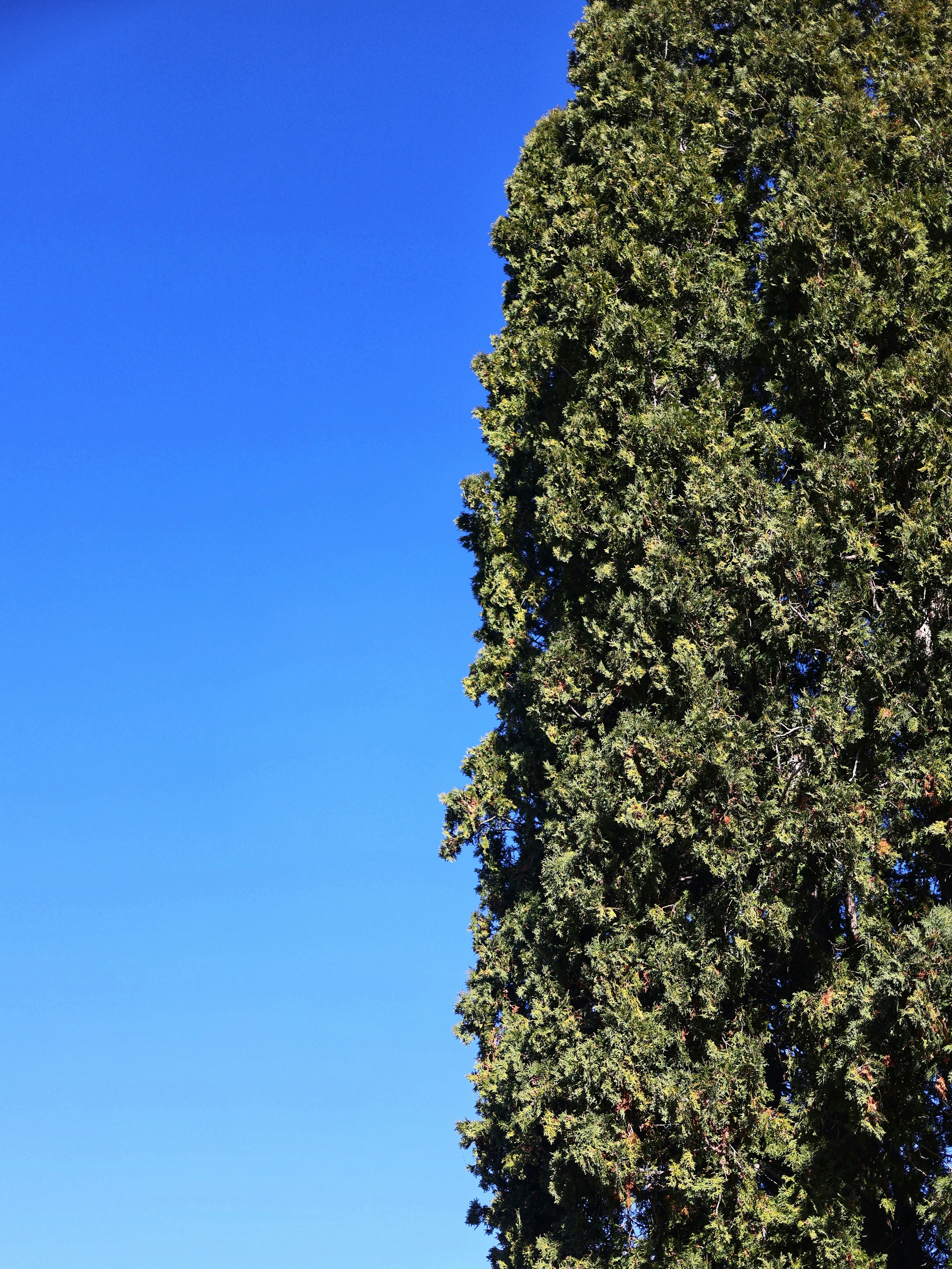 Photo by joshua_hoehne