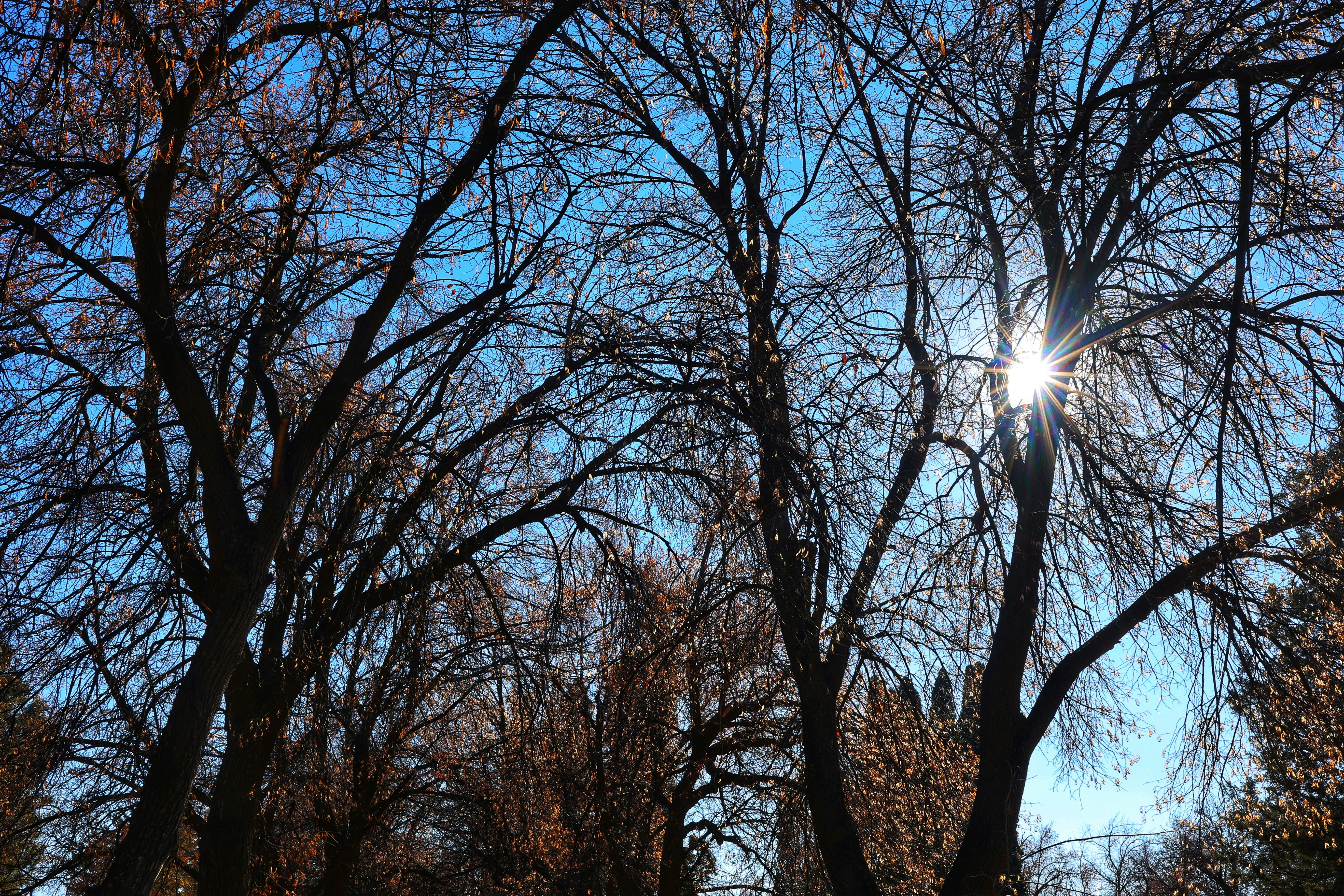 Photo by joshua_hoehne