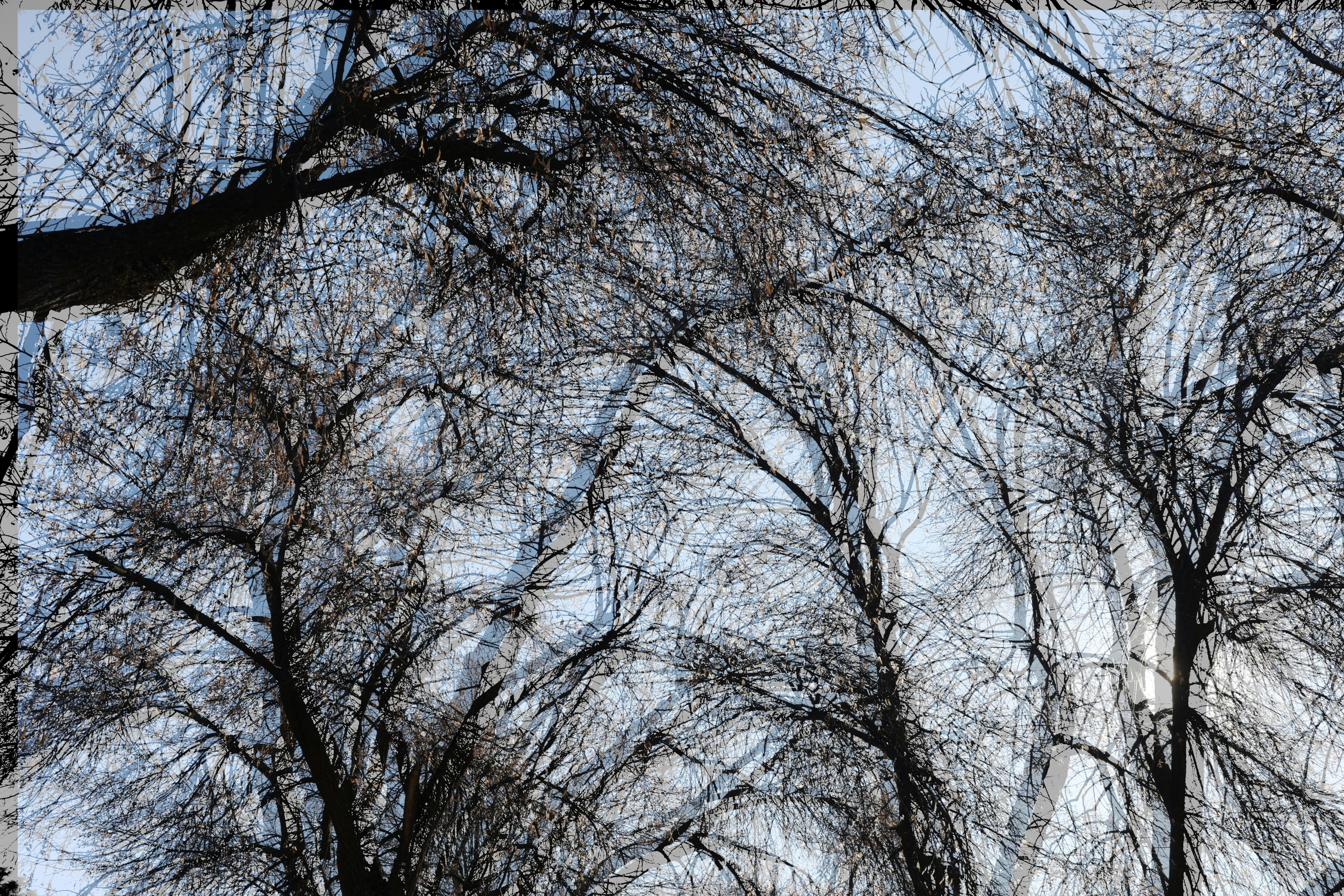 Photo by joshua_hoehne