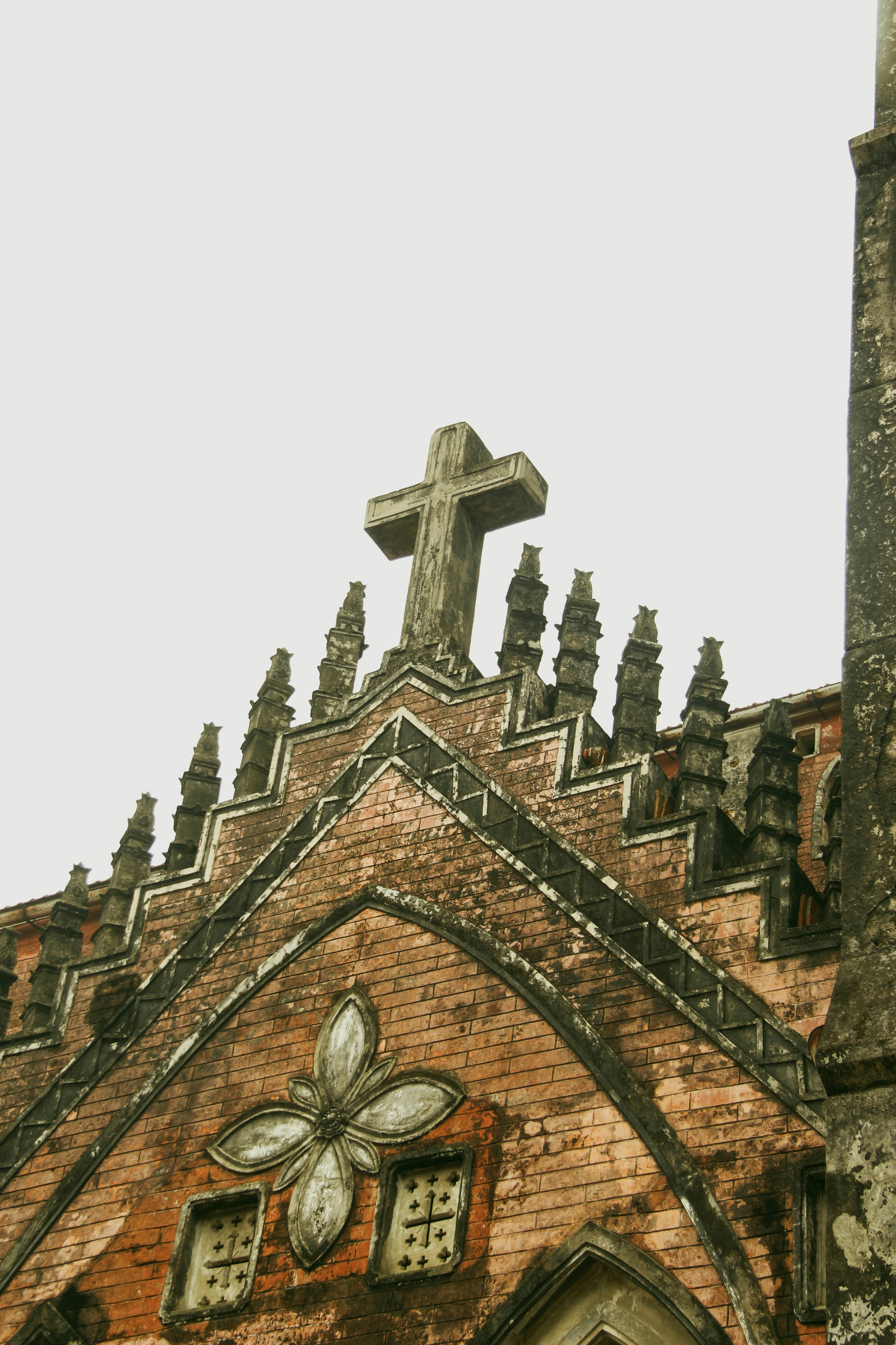 Photo by nghieutrym191