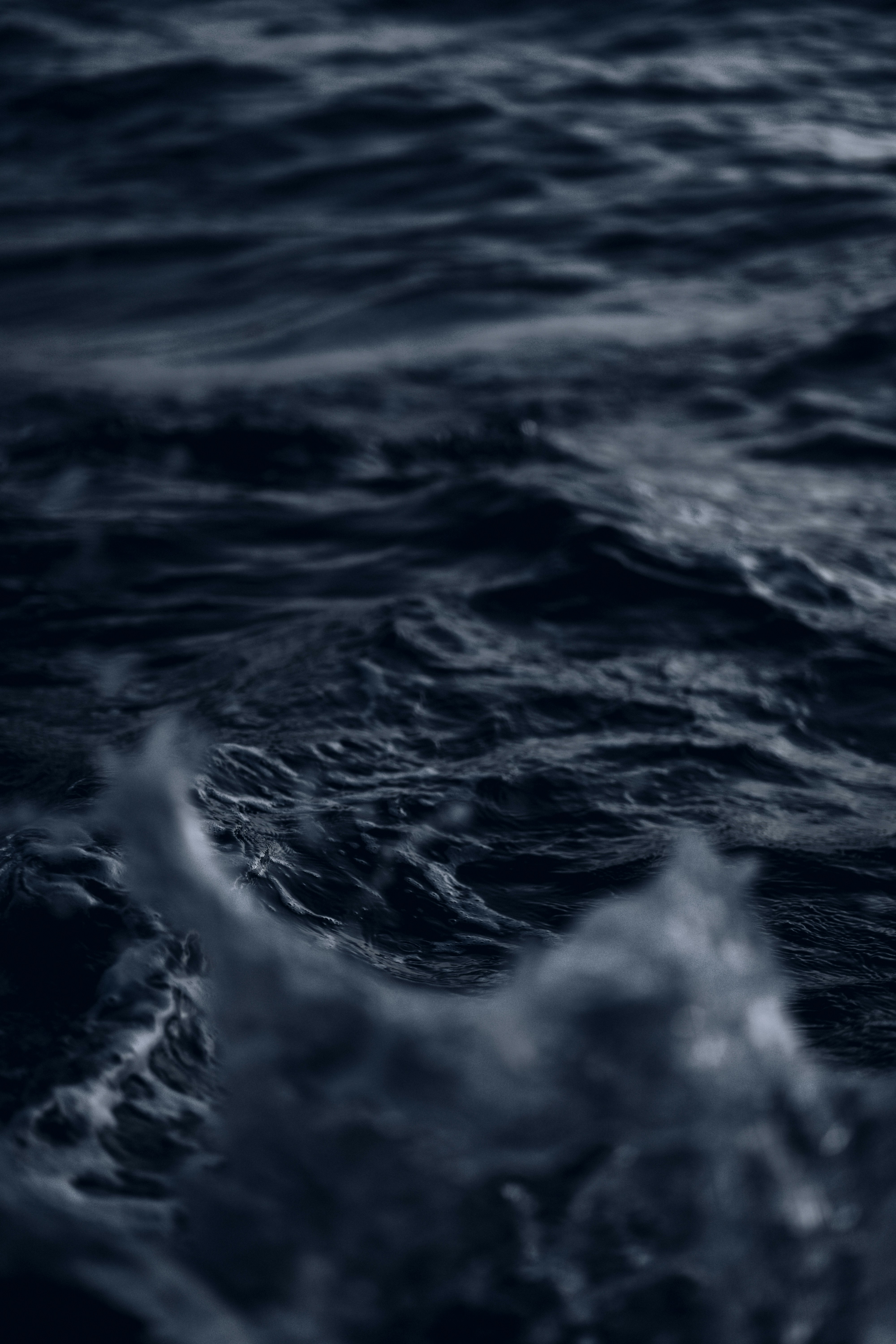 Photo by kalaniparker