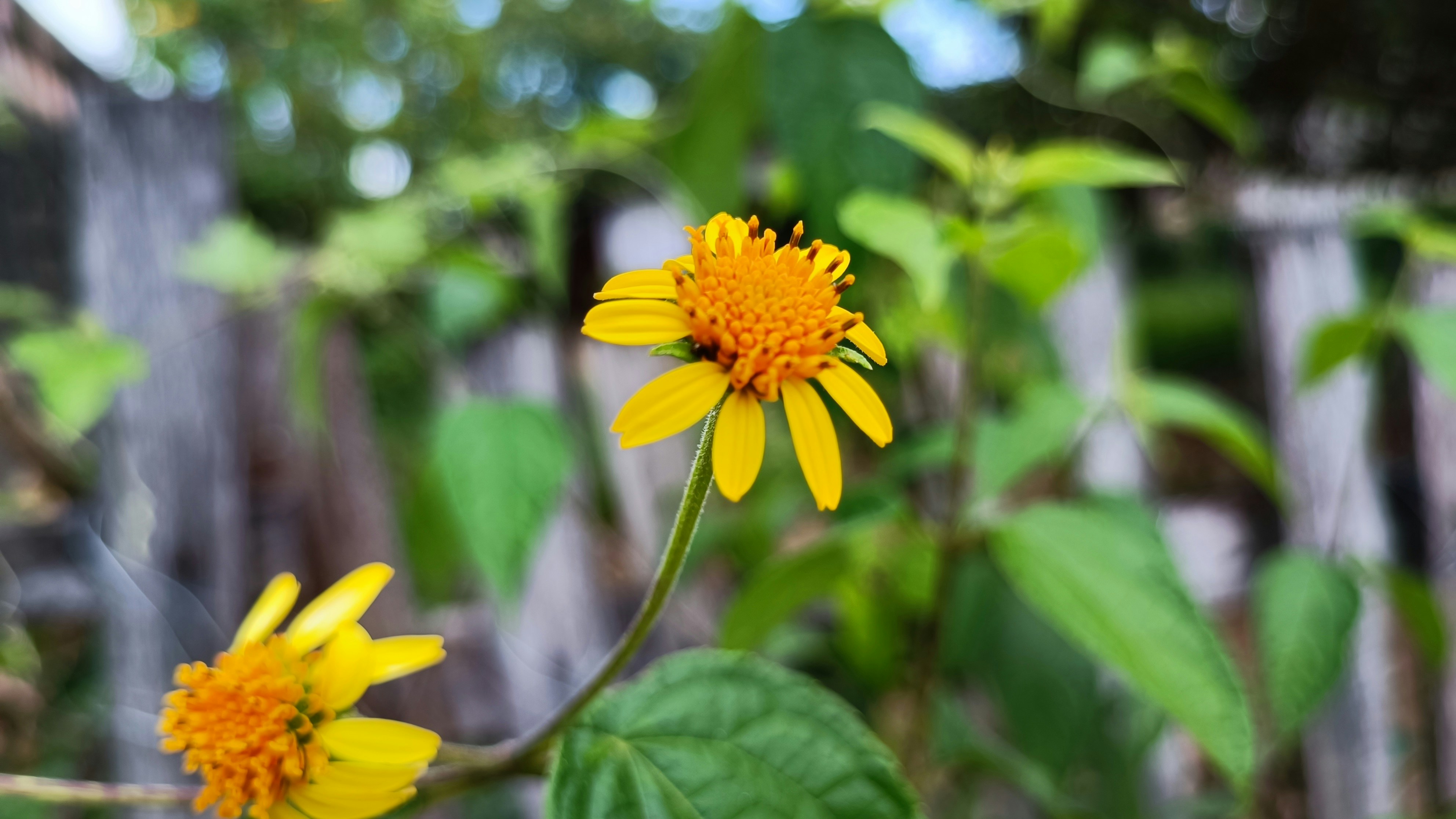 Photo by dienyportinanni