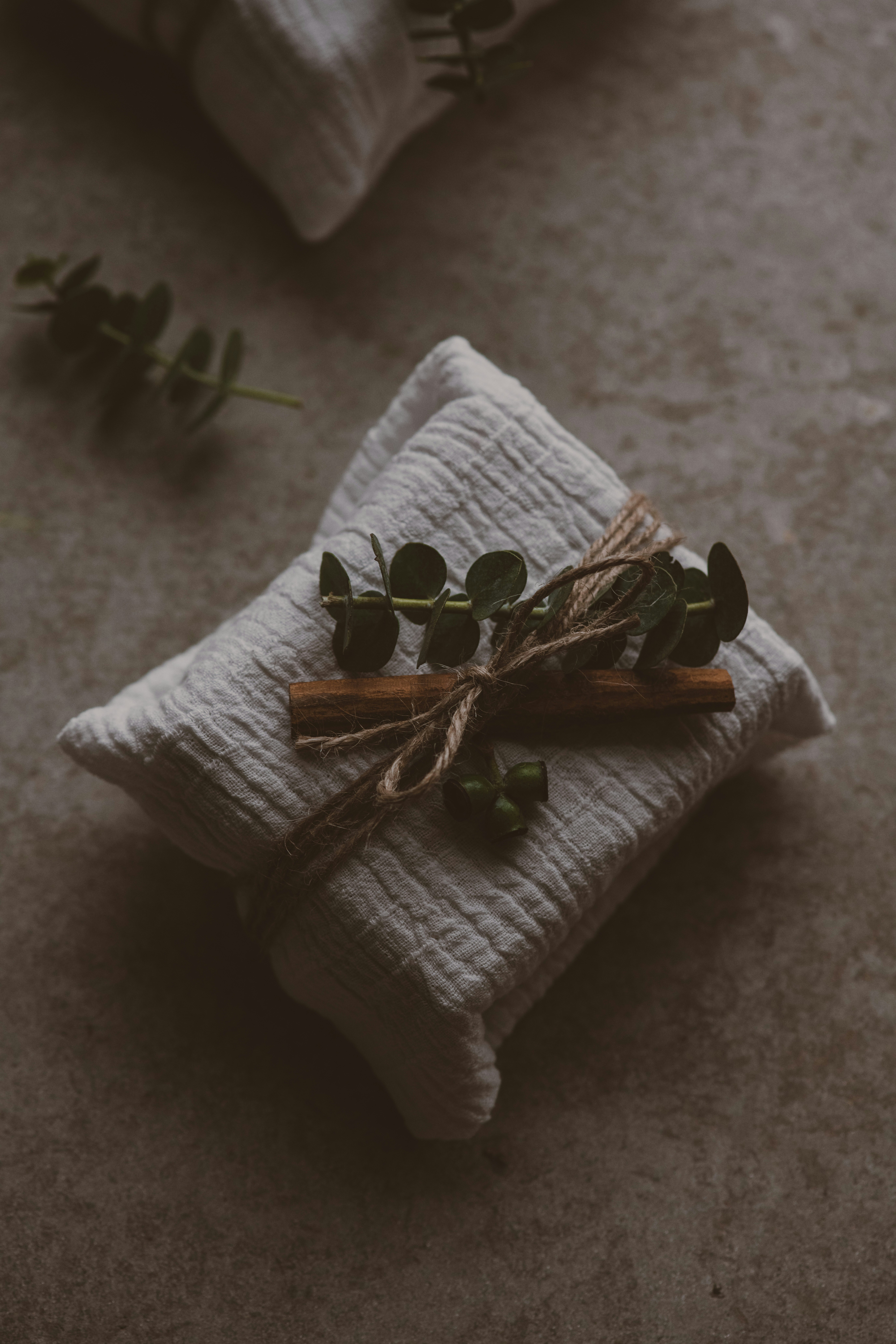 Photo by anitaaustvika