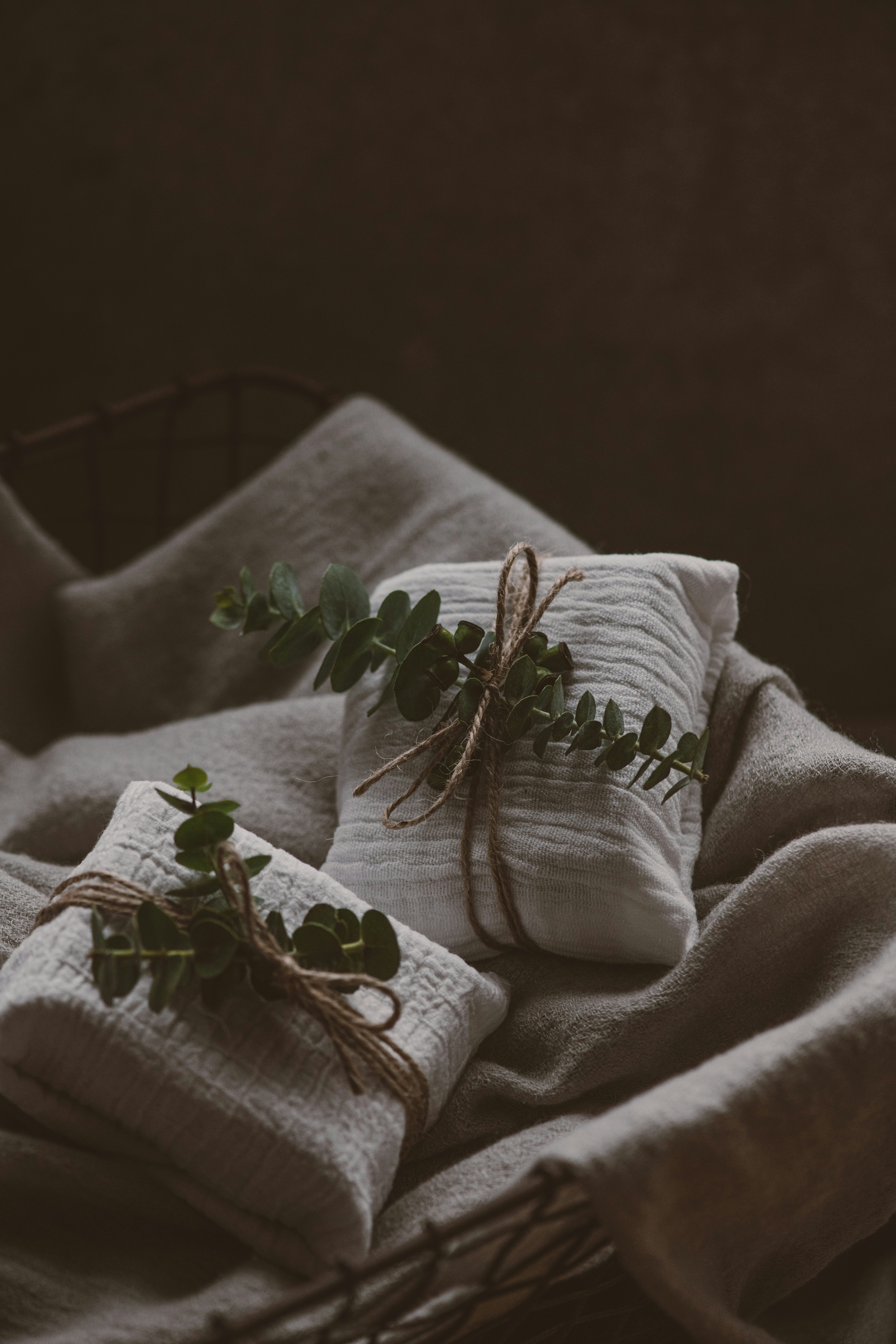 Photo by anitaaustvika