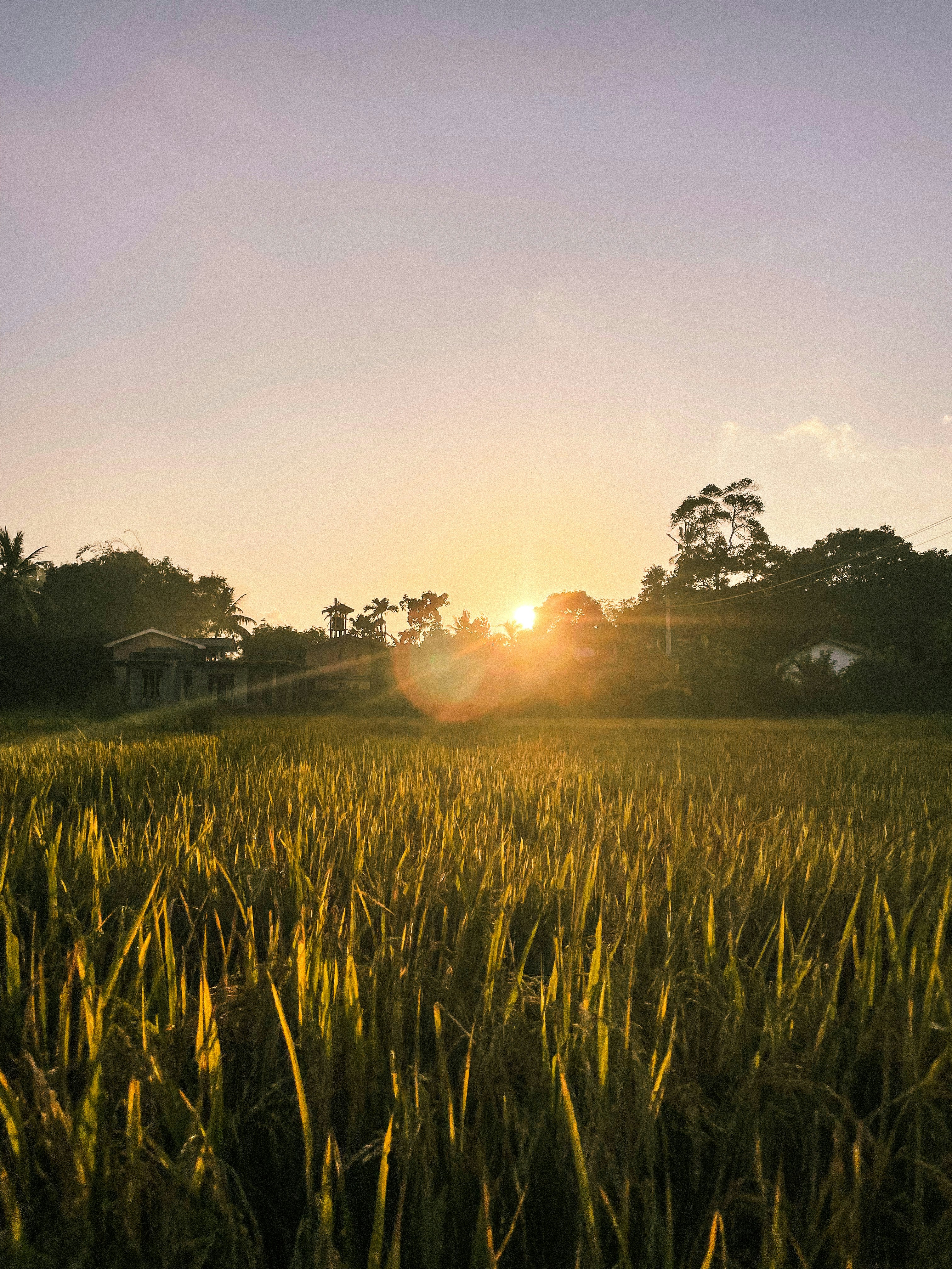 Photo by anainsomnia