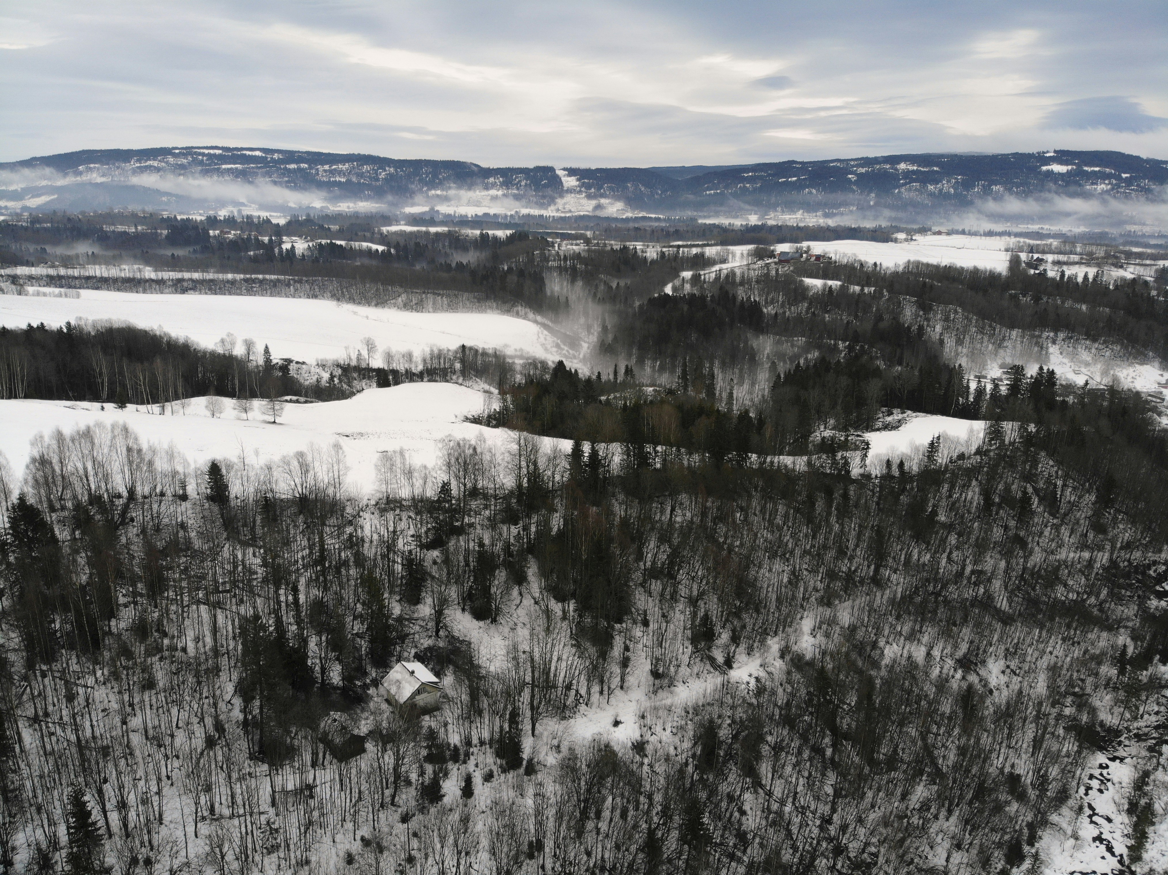 Photo by davotibarna