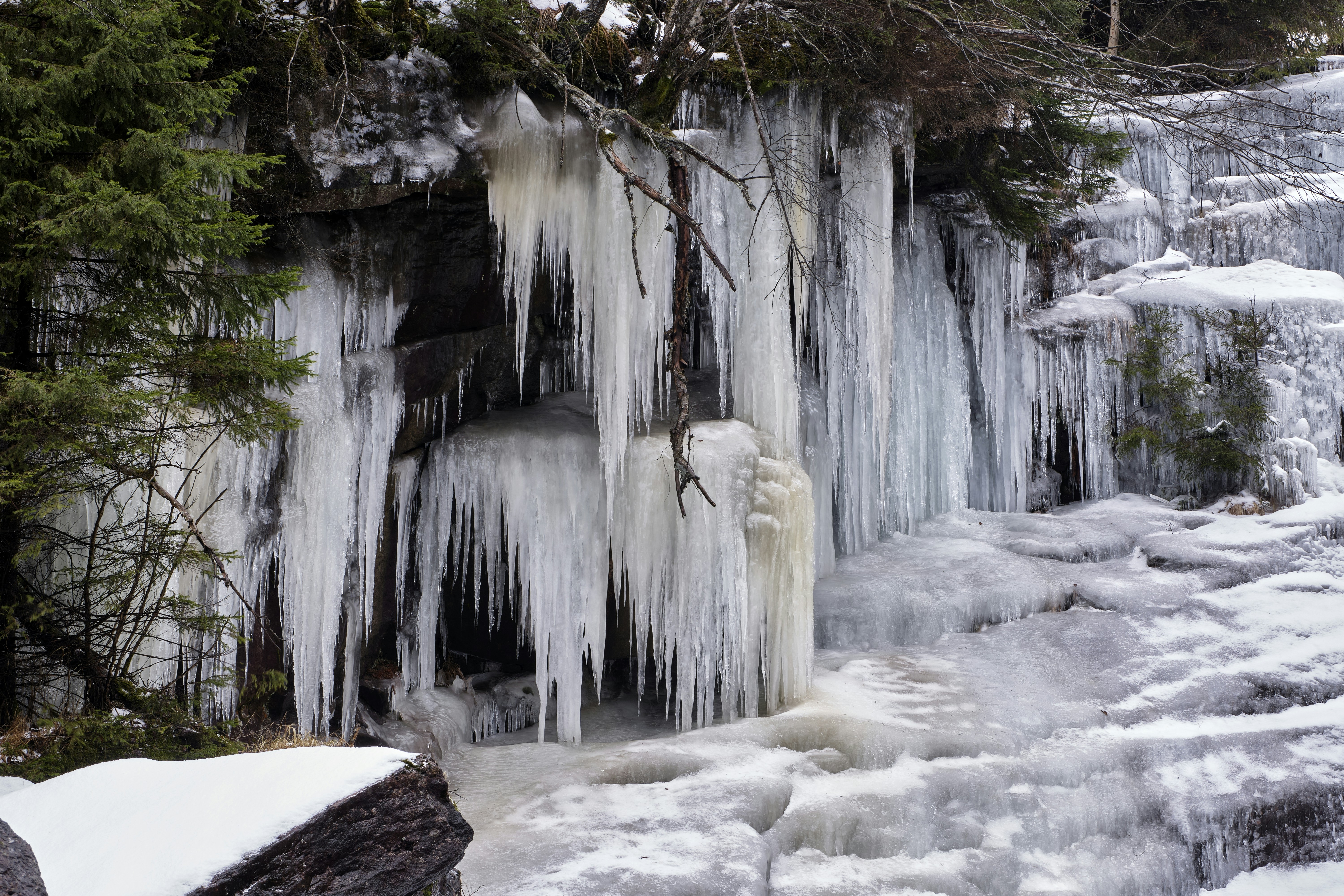 Photo by davotibarna