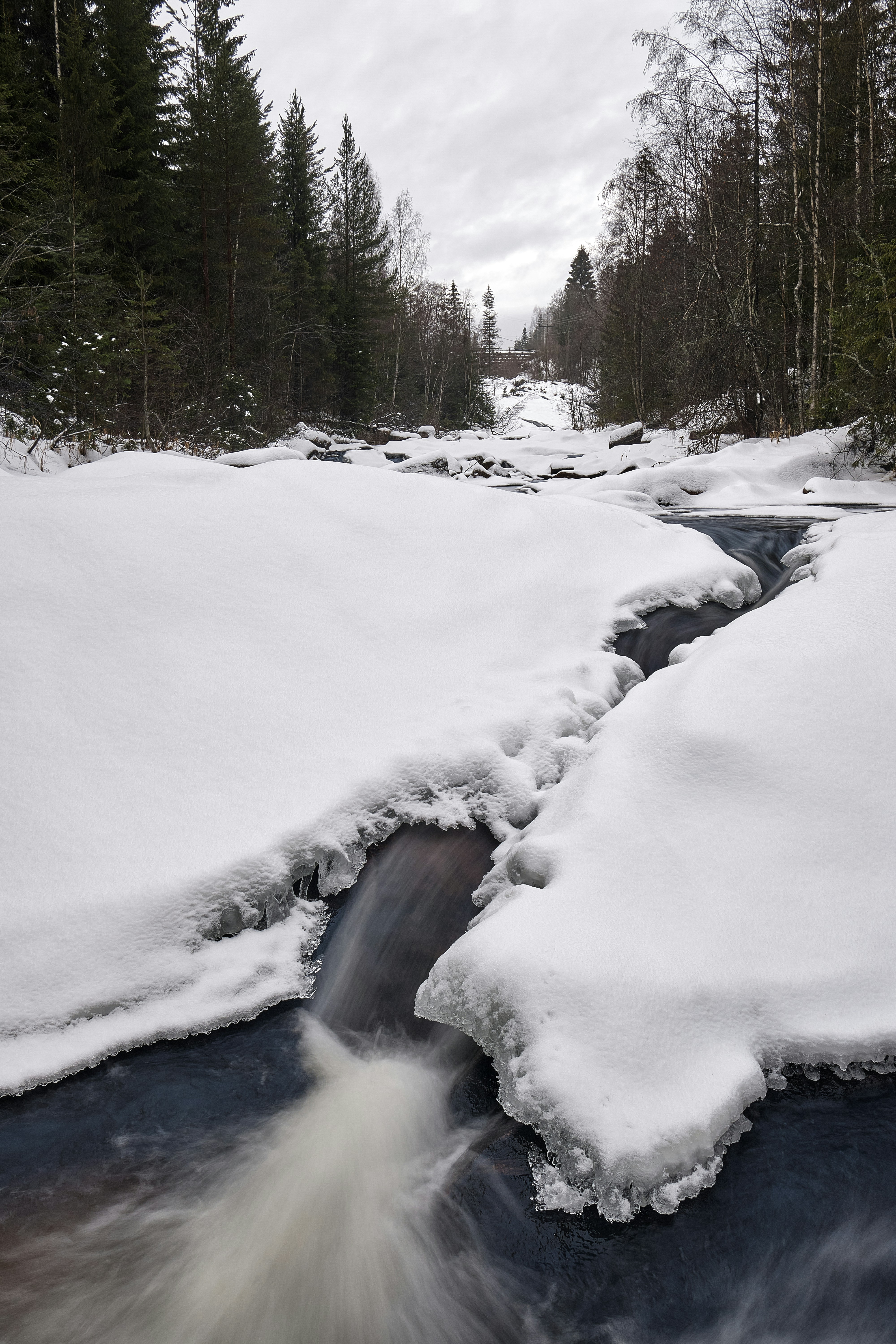 Photo by davotibarna