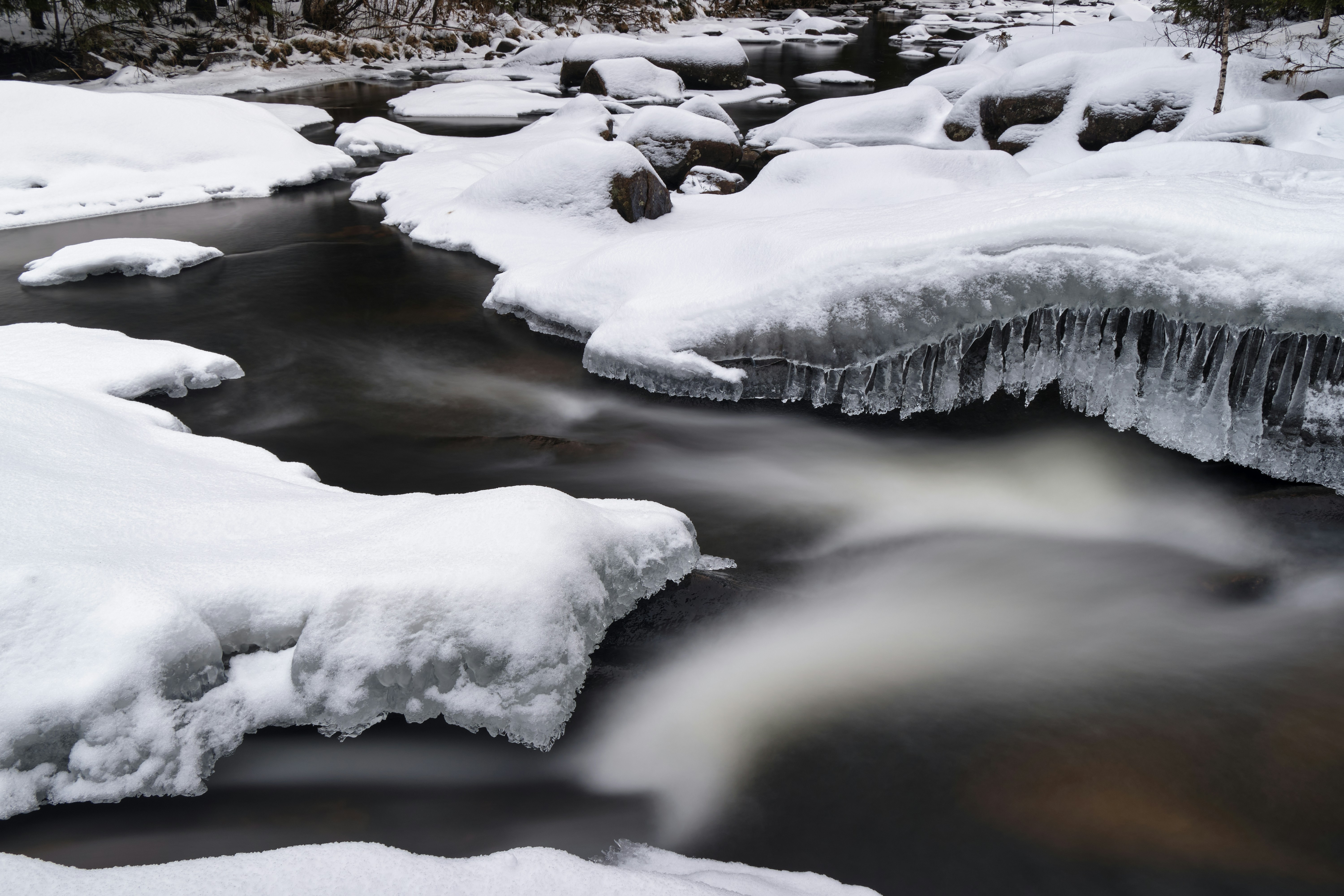 Photo by davotibarna