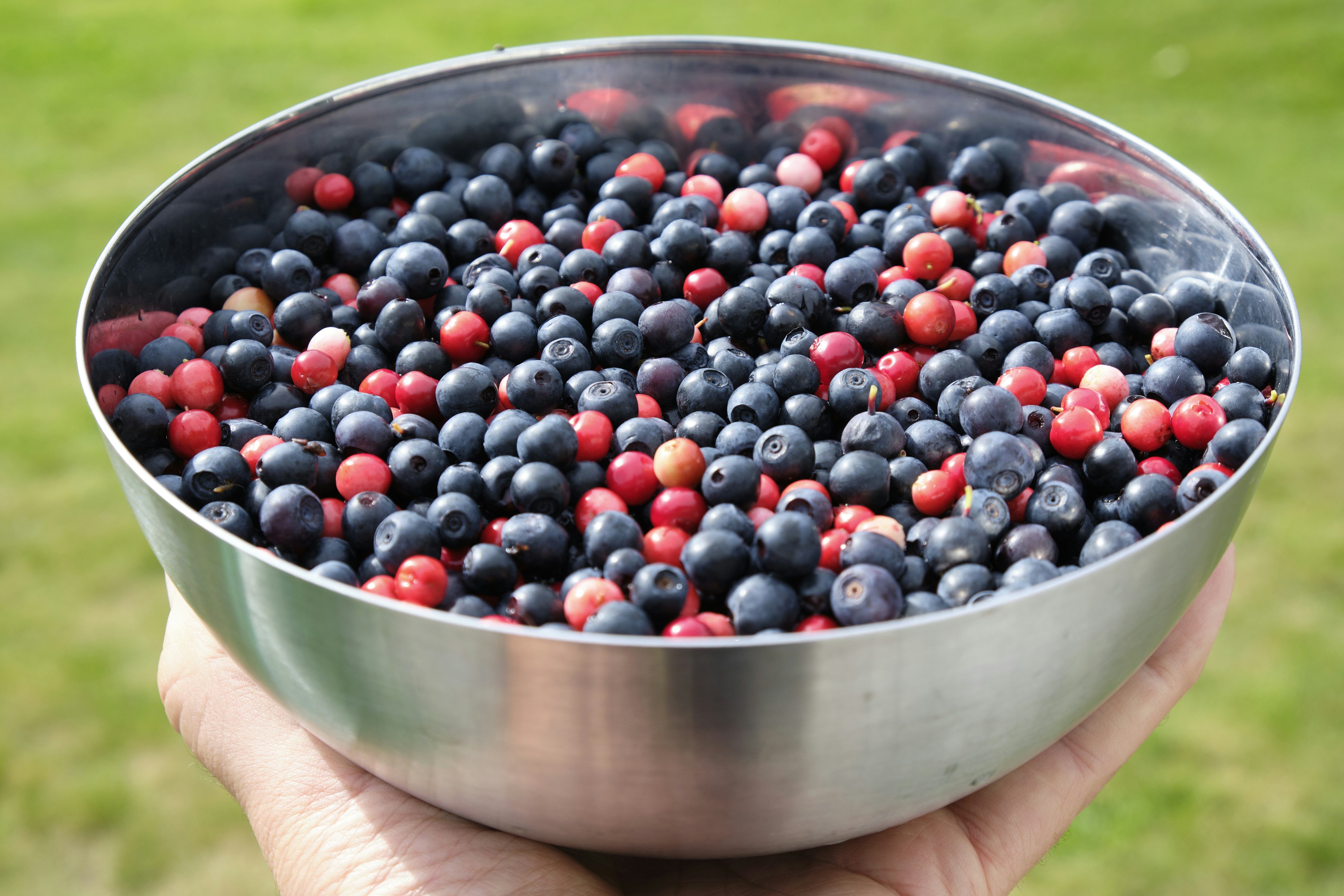 Photo by davotibarna