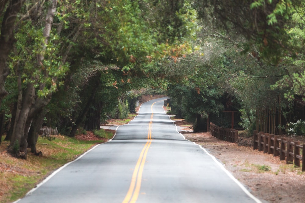 a road with trees on the side