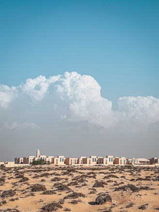 a group of buildings on a beach