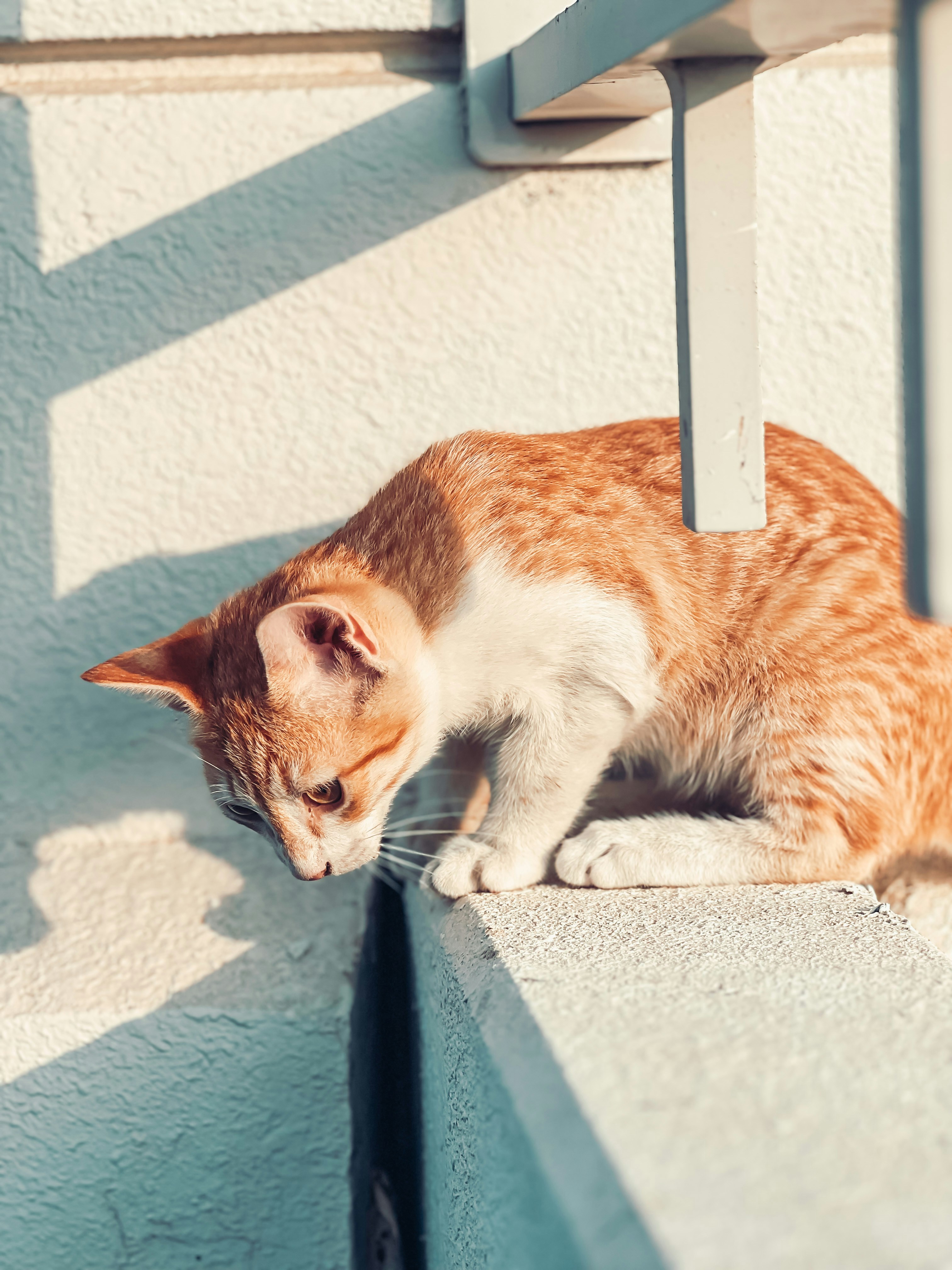 Photo by salman_sidheek