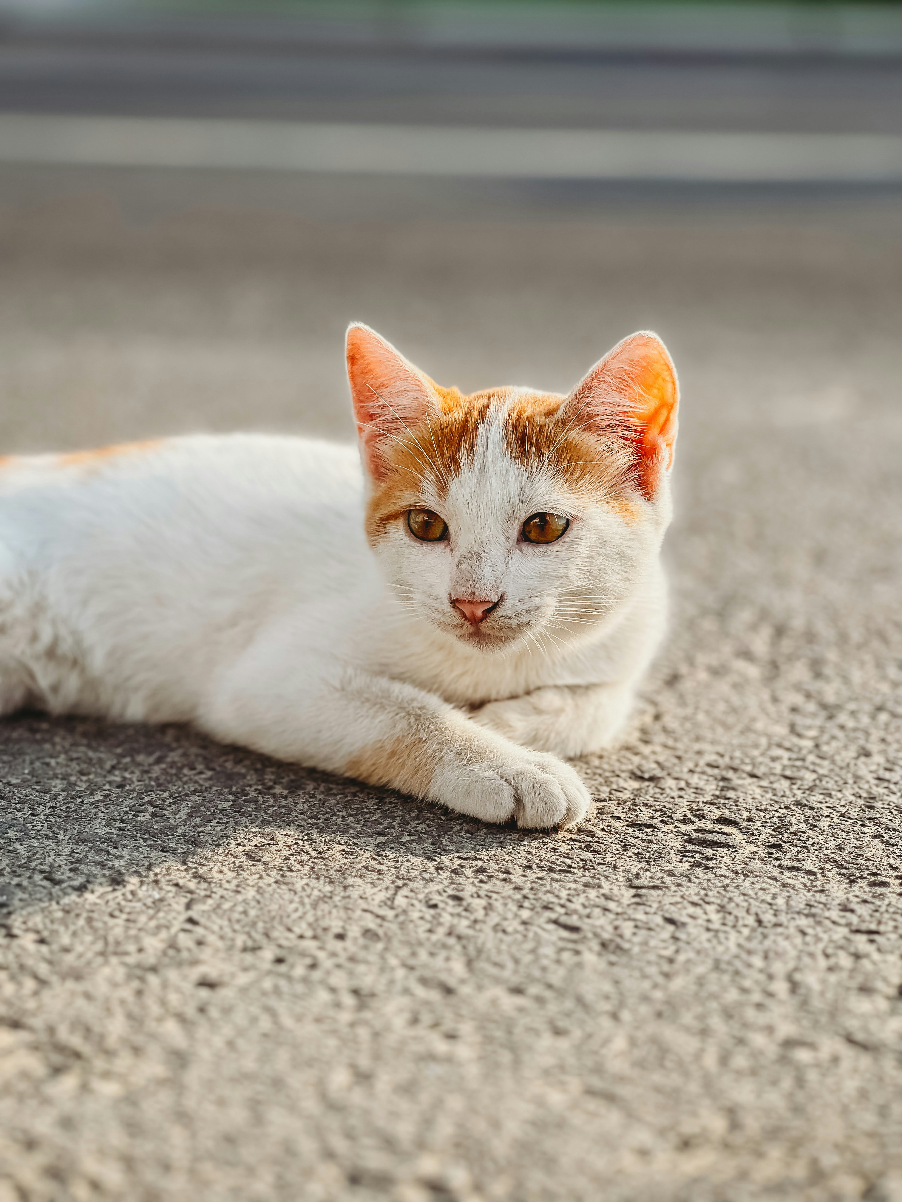 Photo by salman_sidheek