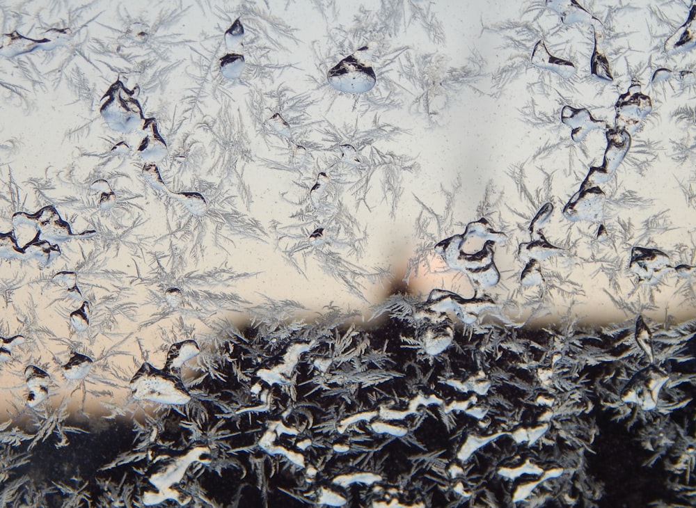 Eine große Gruppe von Vögeln fliegt