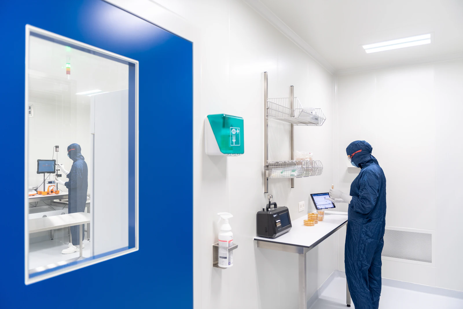 Laboratory technician inspecting an environmental monitoring plate