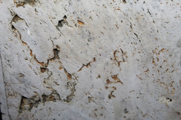 a close up of a rock