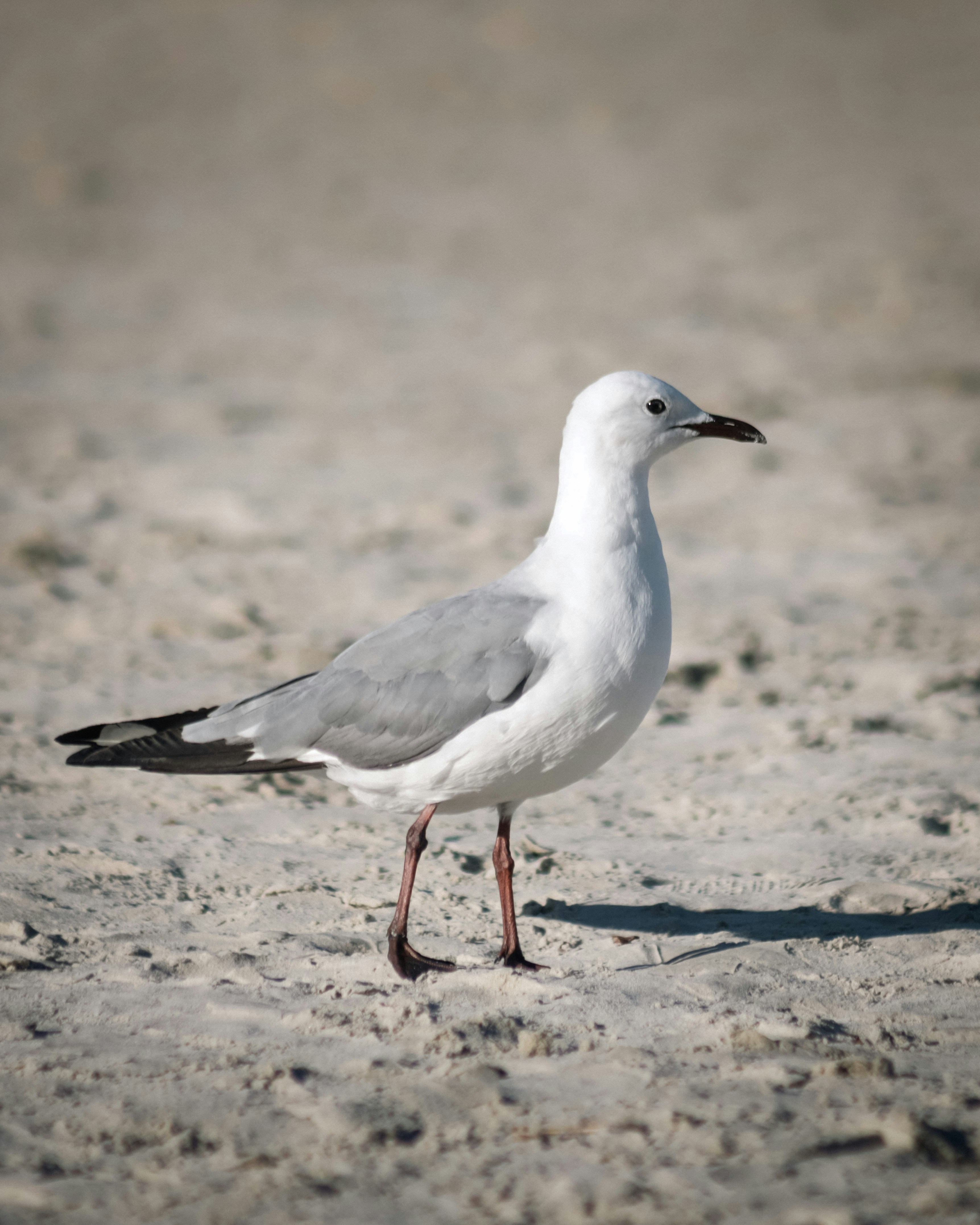 Photo by asherpardey