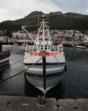 A fishing boat docked at a harbor with ropes securing it to the edge. The background features scenic hills and a small coastal town with residential buildings lining the shore.