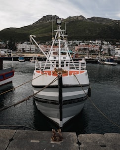 A fishing boat docked at a harbor with ropes securing it to the edge. The background features scenic hills and a small coastal town with residential buildings lining the shore.