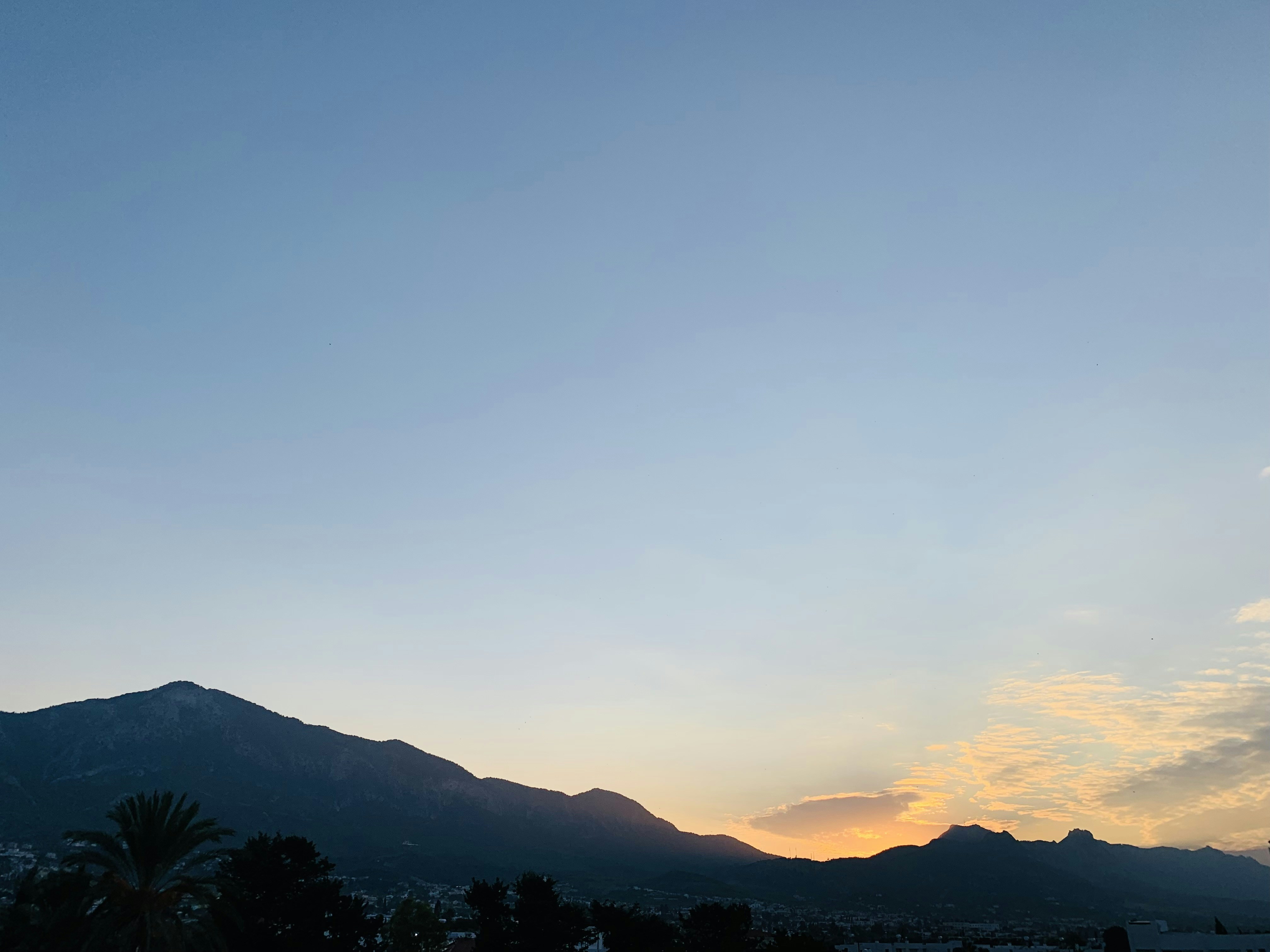 Photo by david_dintsh