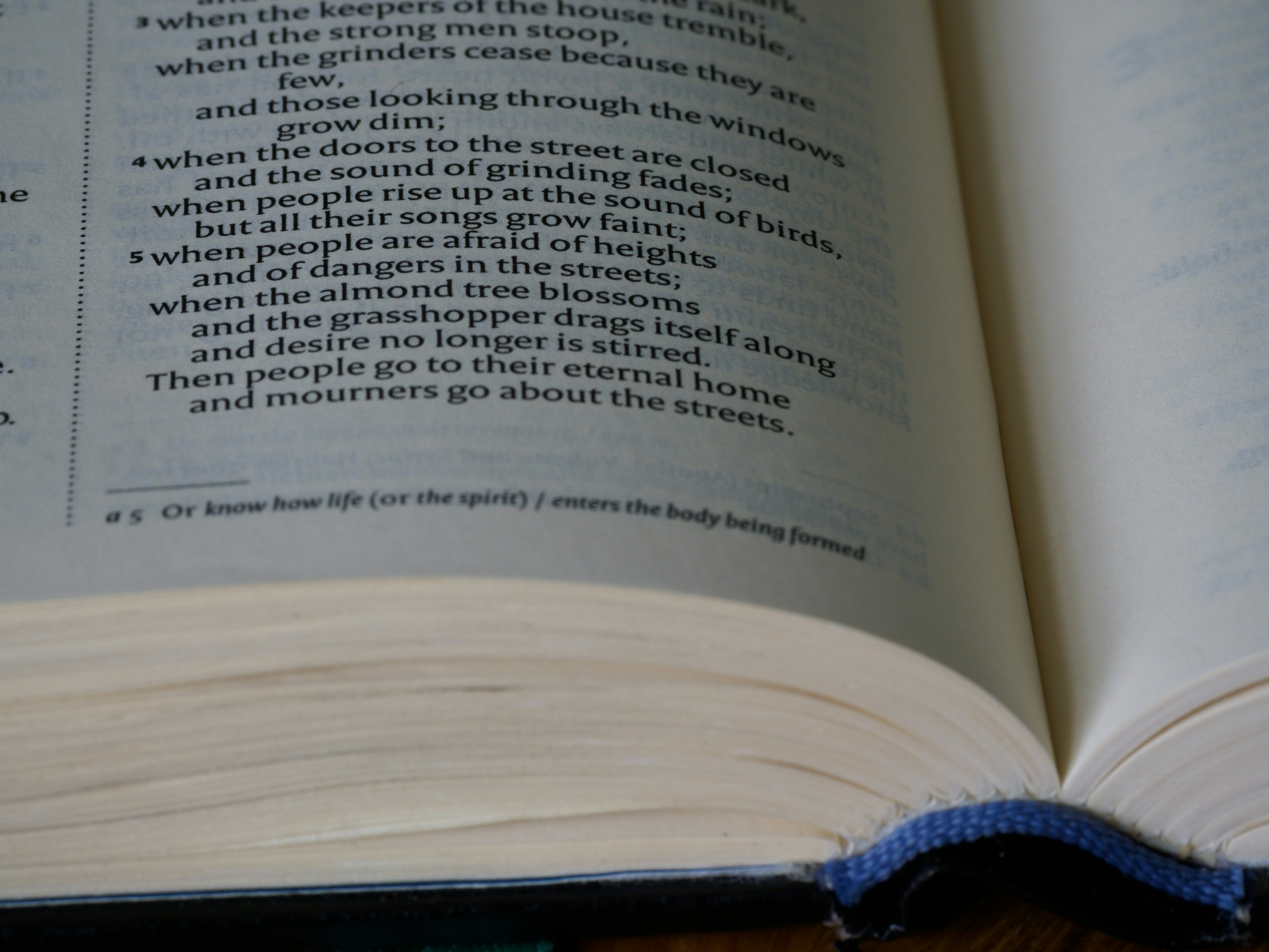 Photo by brett_jordan