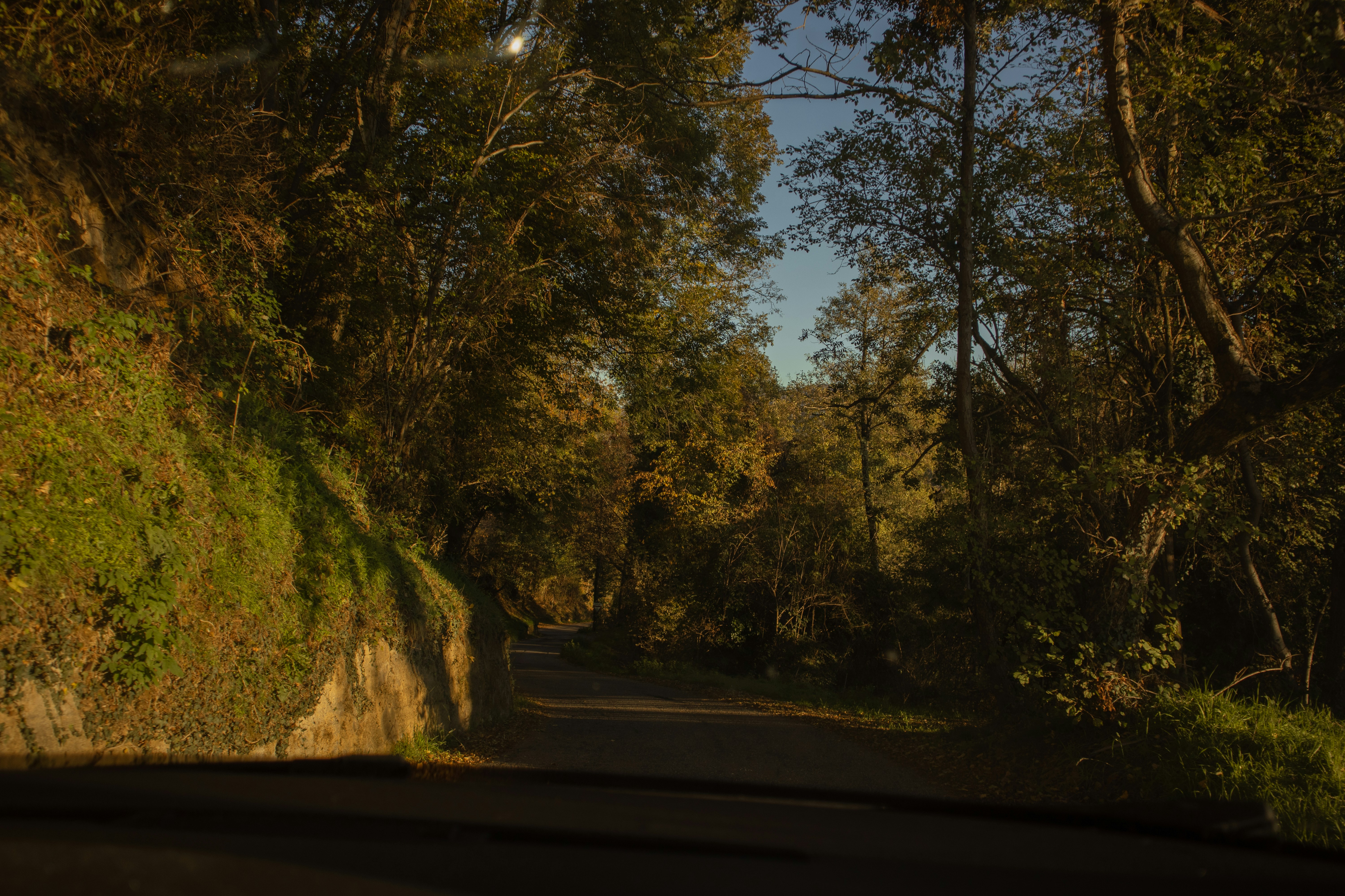 Photo by lascioliasia