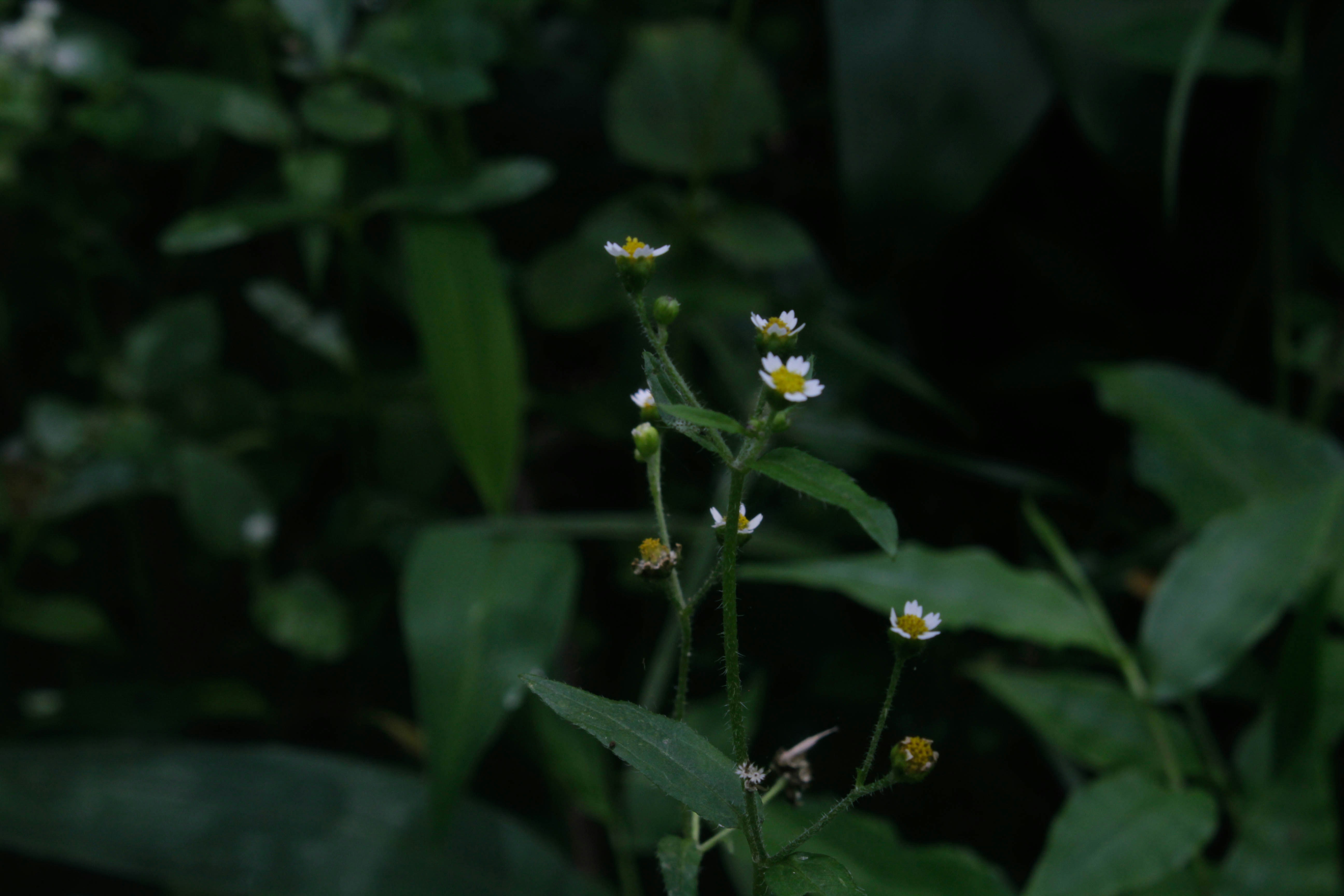 임대수익으로 현금 흐름 만들기, 세금까지 고려한 플랜