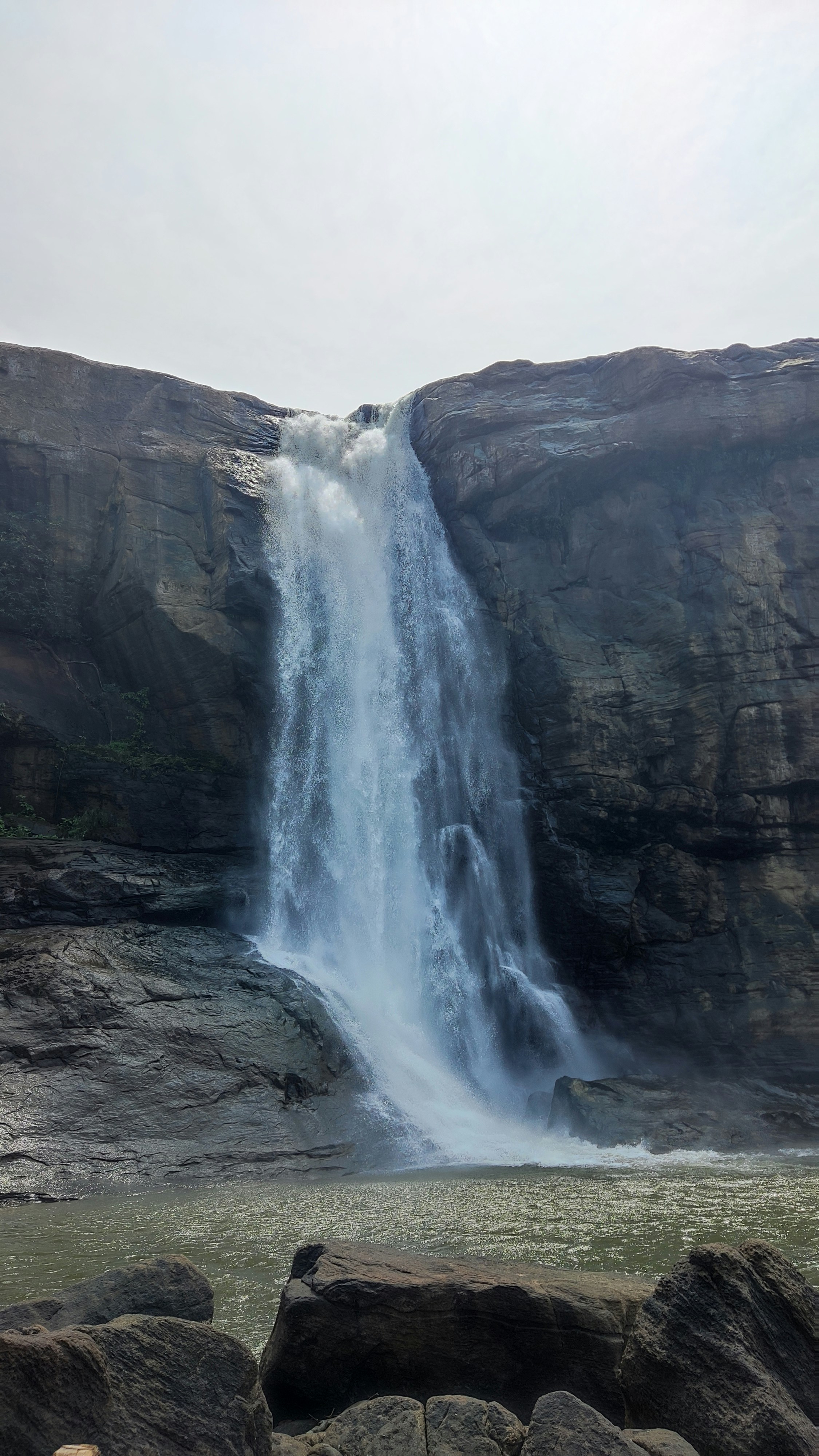 Photo by opacaro_phile