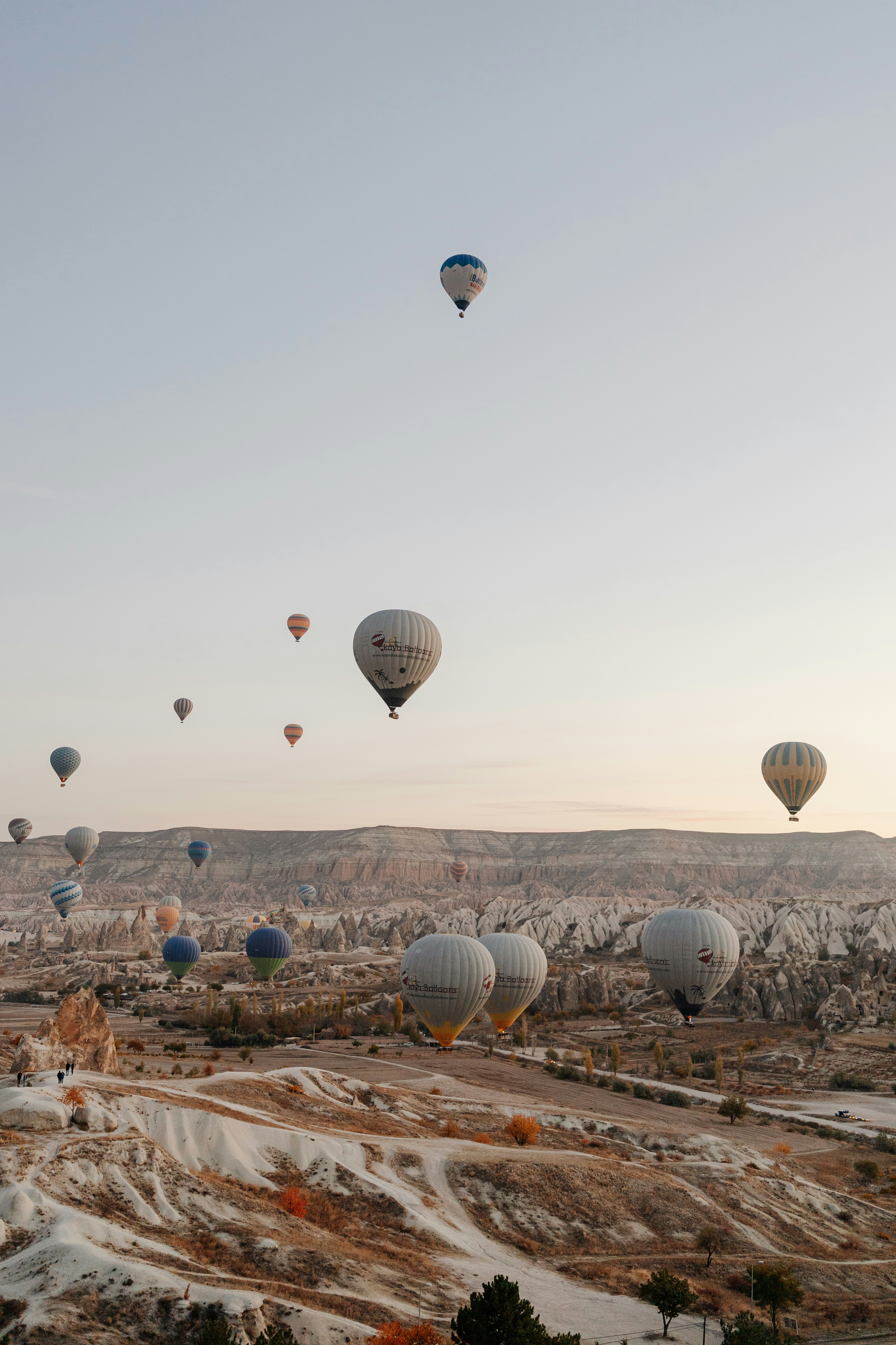 a group of hot air balloons in the sky