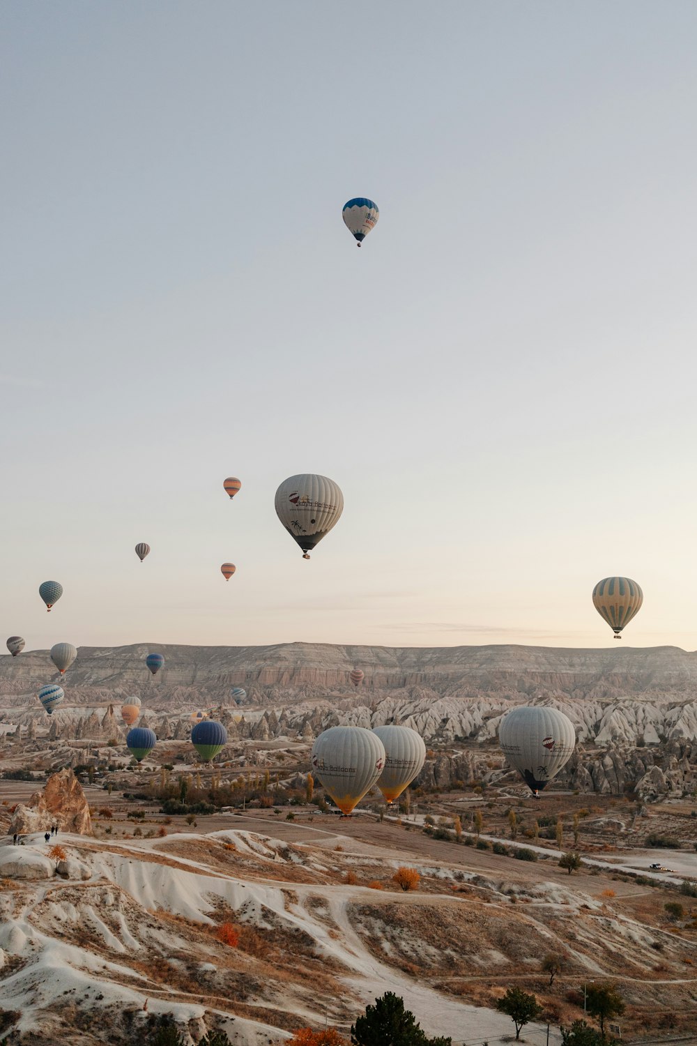 Un grupo de globos aerostáticos en el cielo