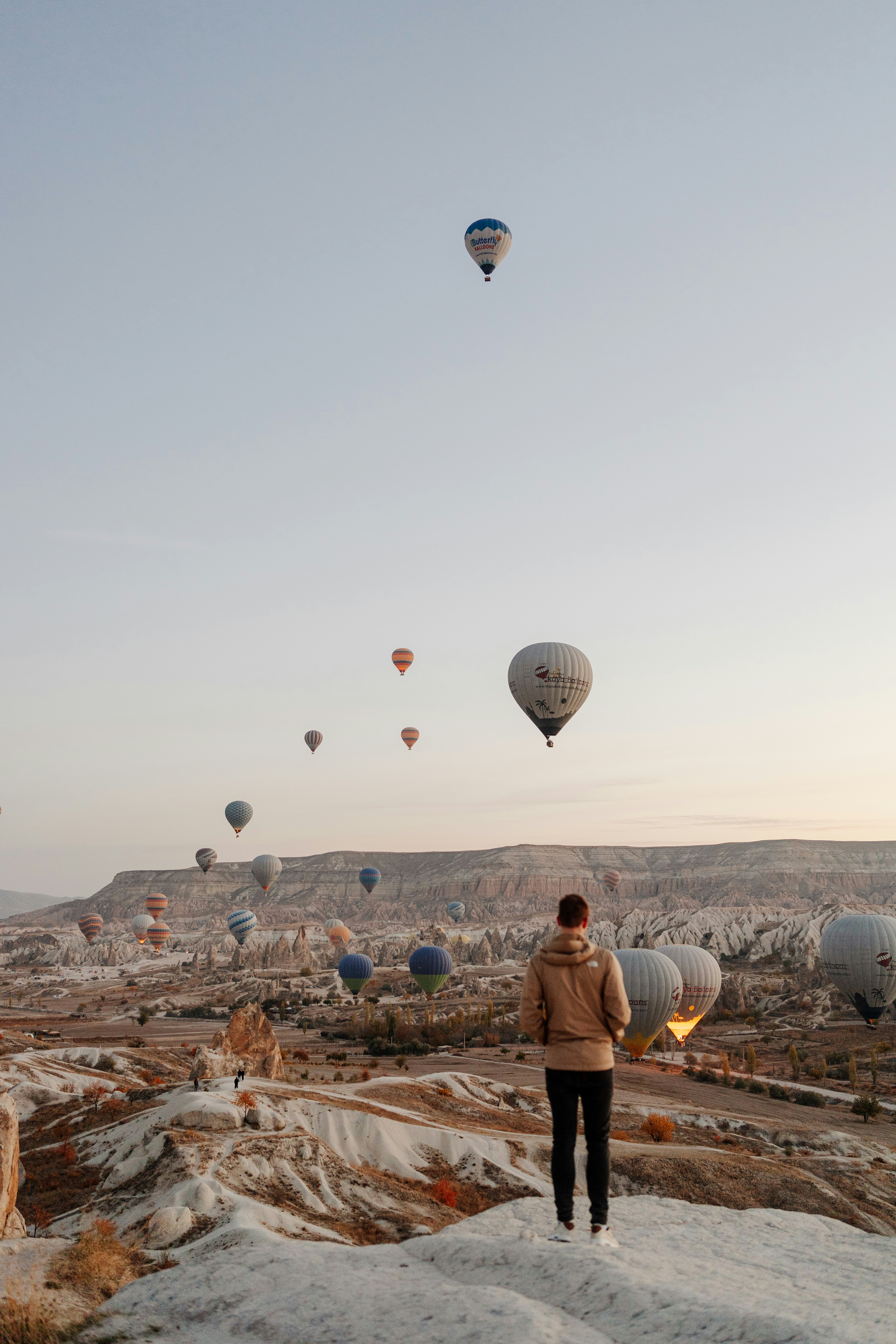 a person standing on a hill with hot air balloons in the air