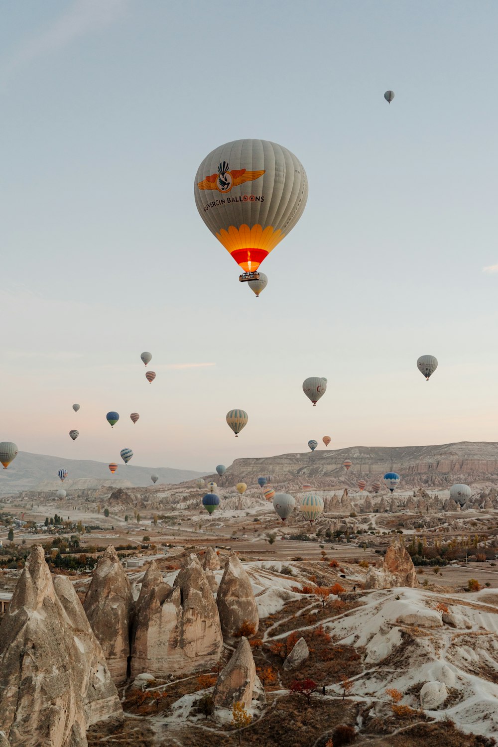 a group of hot air balloons in the sky