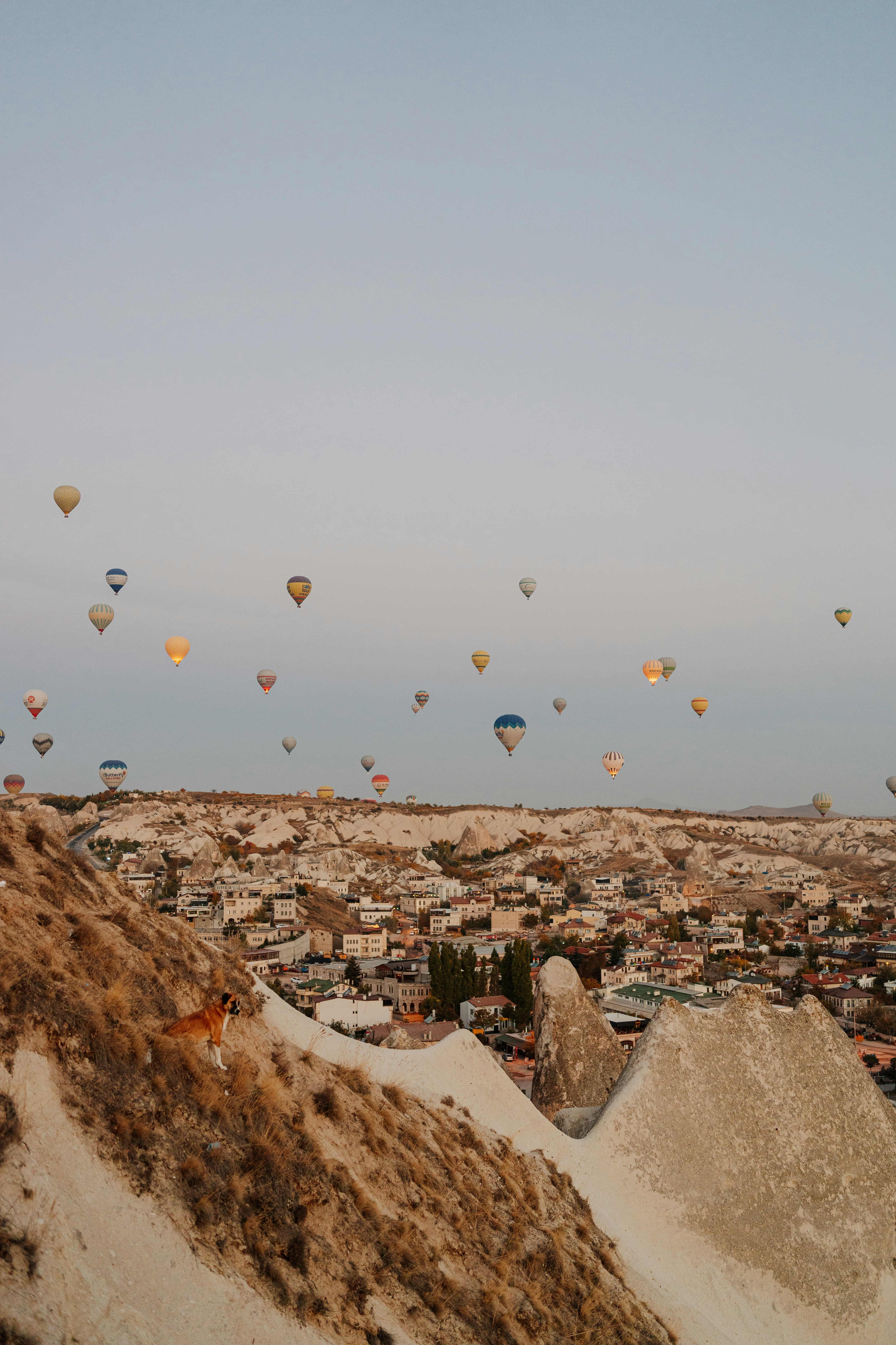 Choose from a curated selection of sky wallpapers for your mobile and desktop screens. Always free on Unsplash.