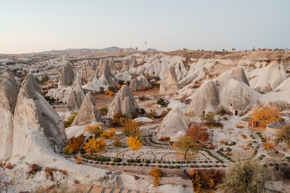 a landscape with rocks and trees