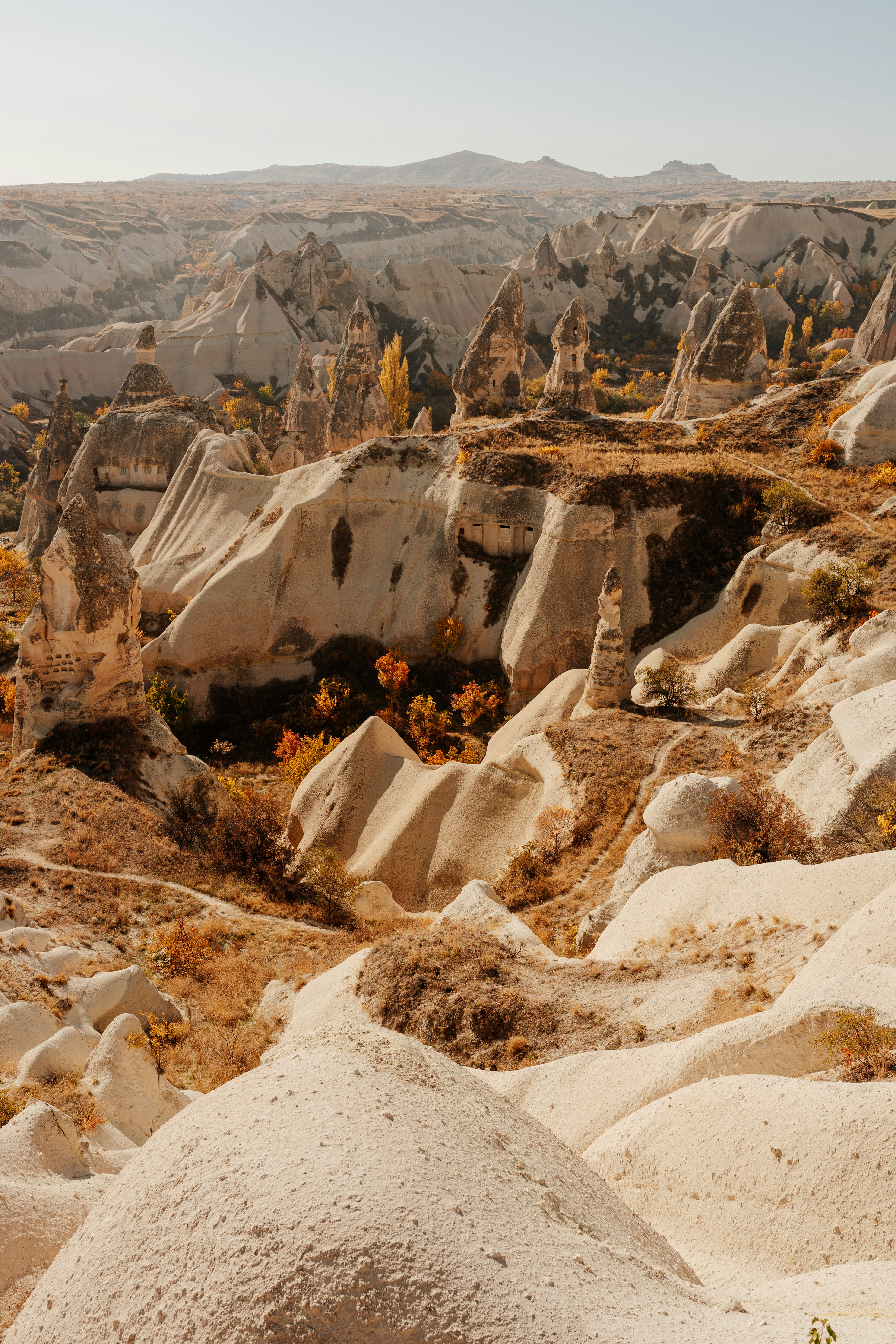 Photo by igorharrier