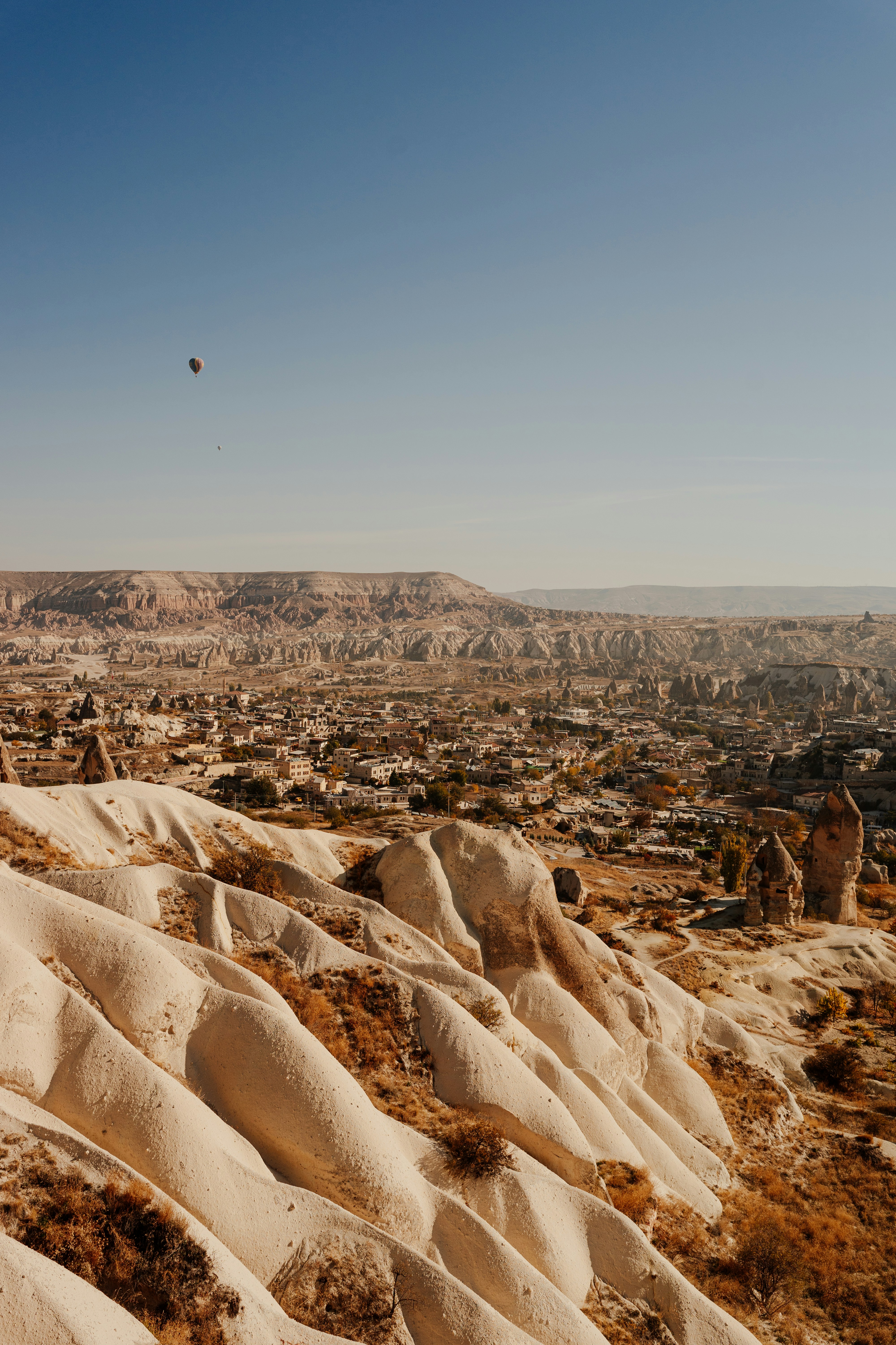 Photo by igorharrier