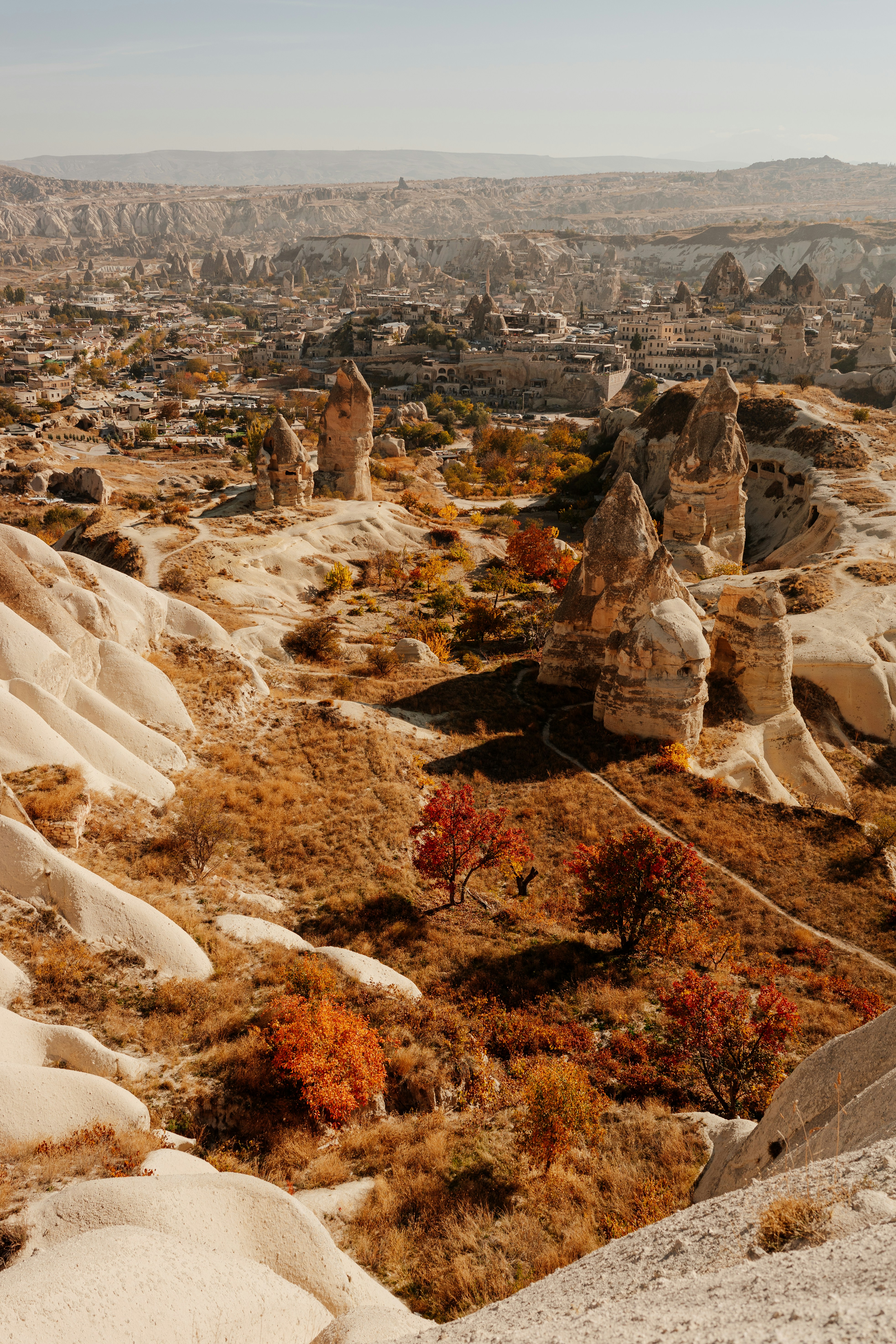 Photo by igorharrier