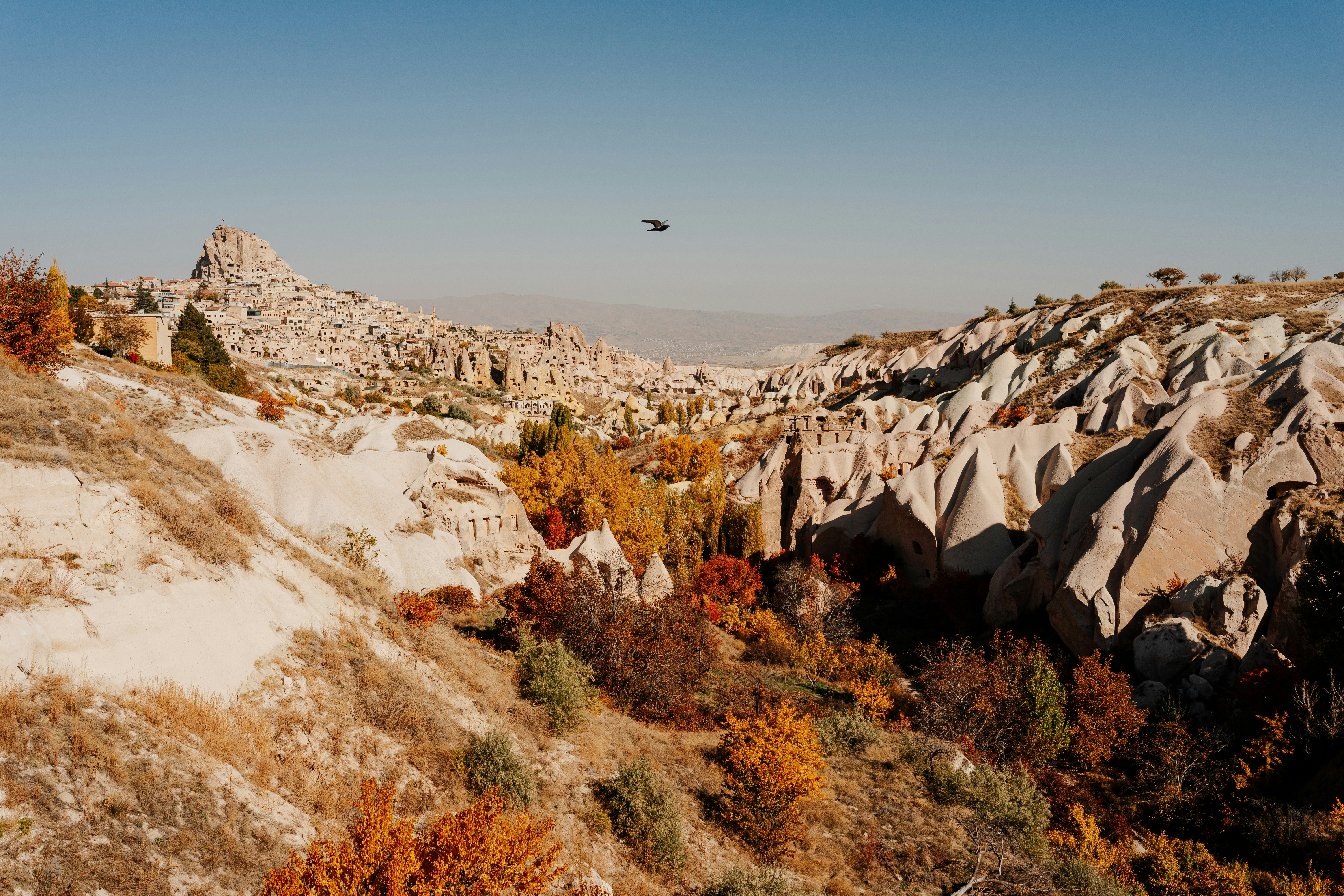 a bird flying over a rocky mountain, Cappadocia. Goreme, Nevsehir, Turkiye, November 2022.