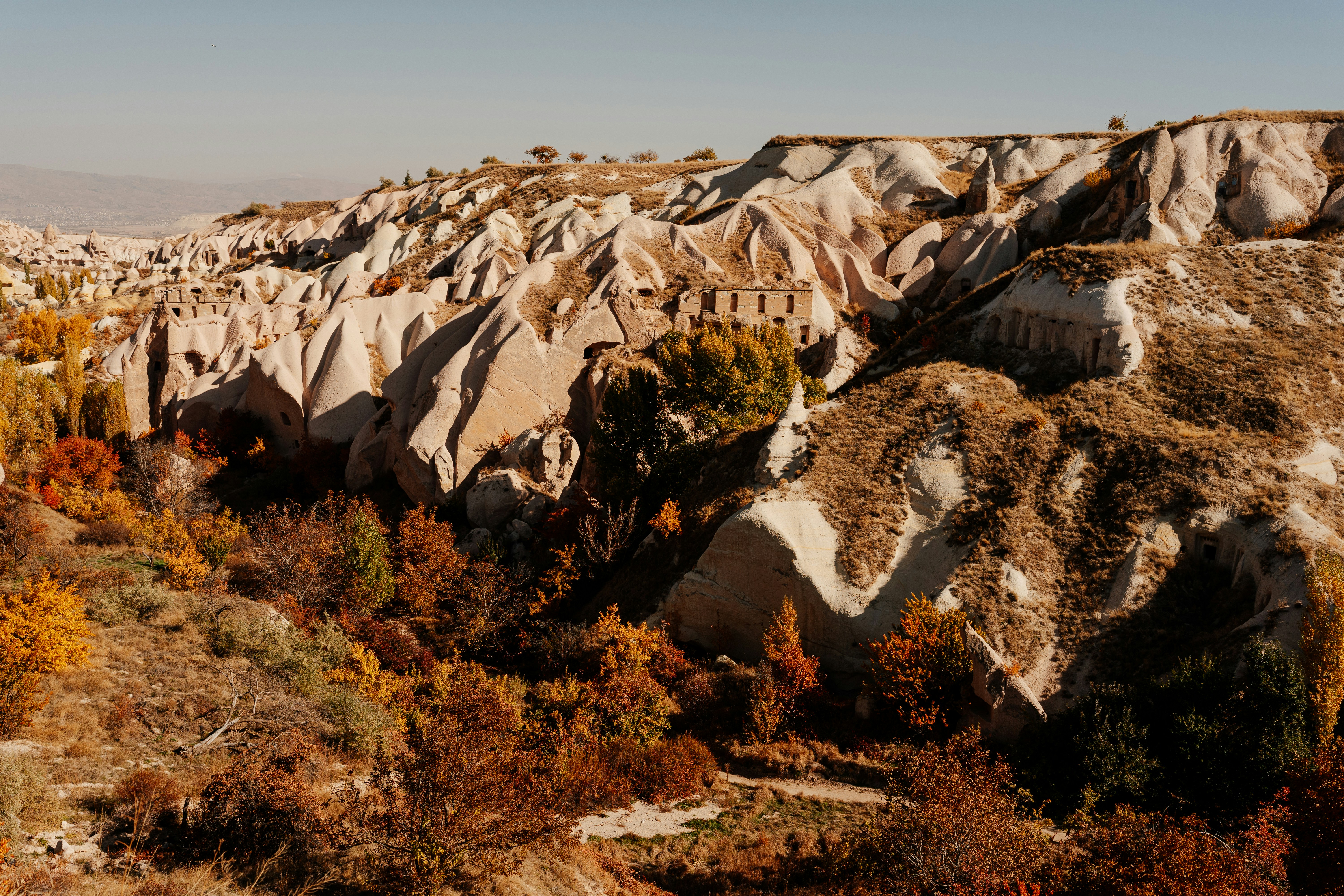 Photo by igorharrier