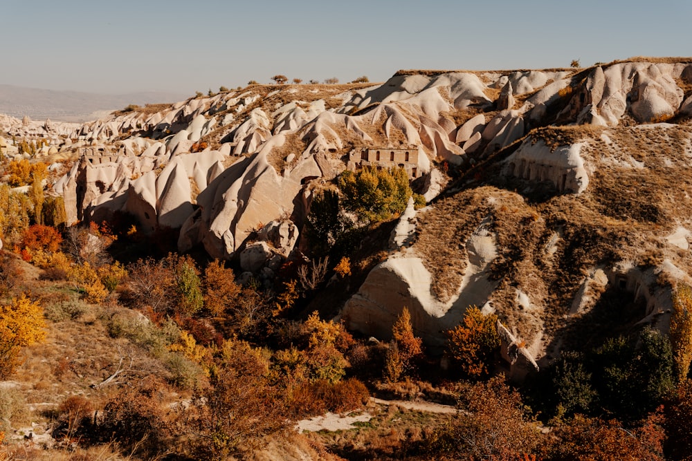 a rocky mountain with trees