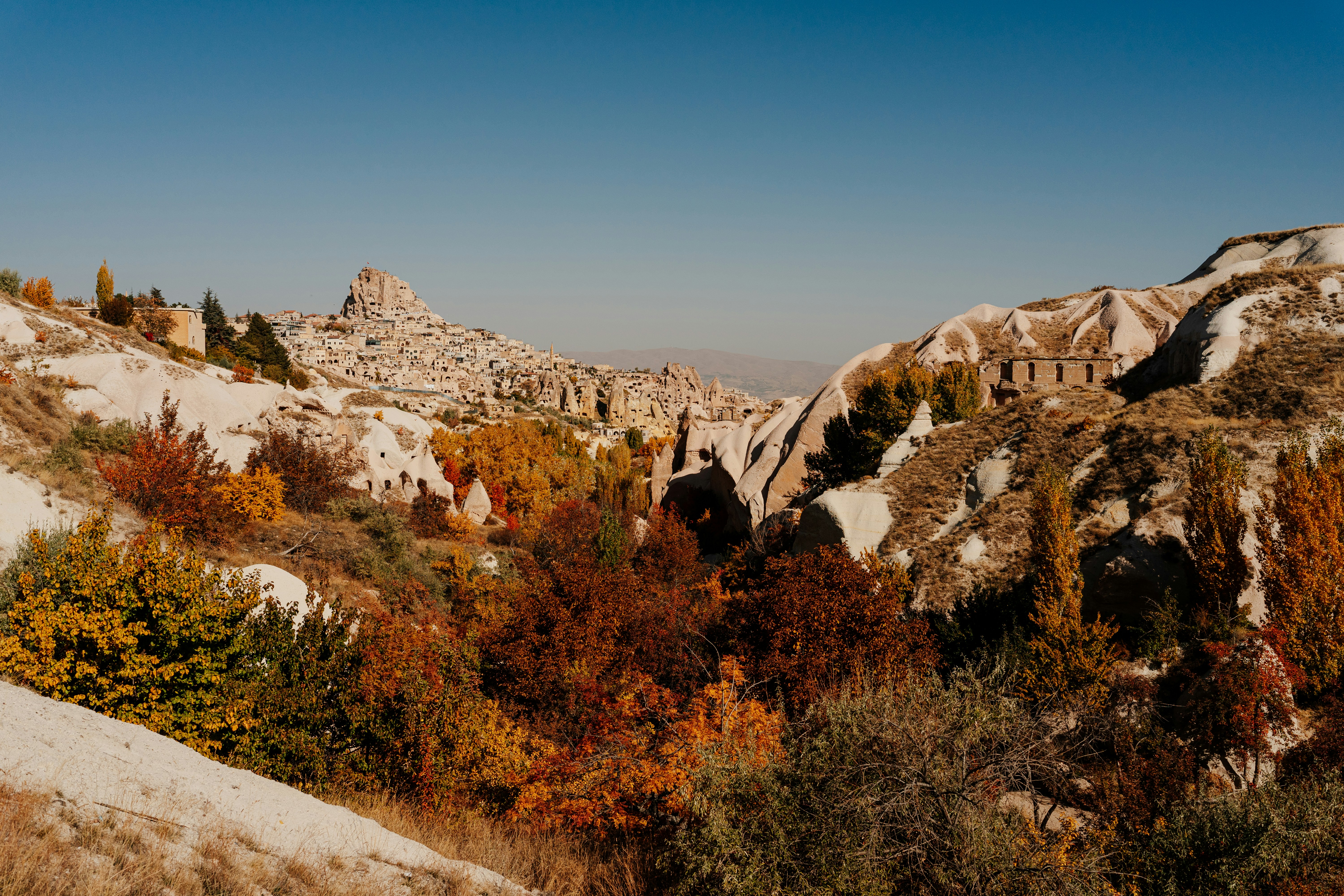 Photo by igorharrier