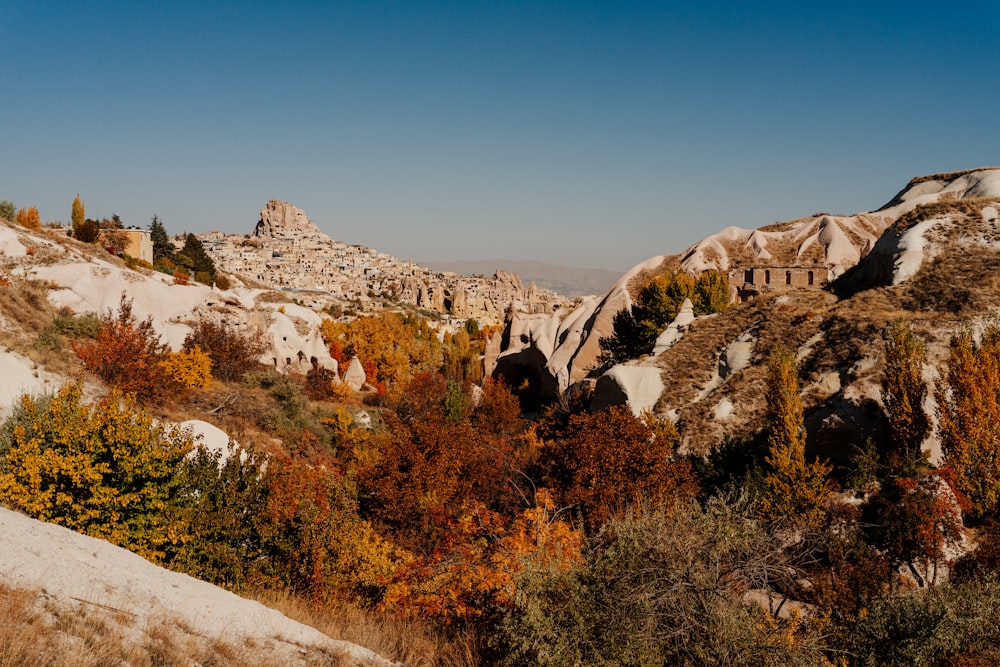 a rocky hillside with trees and bushes