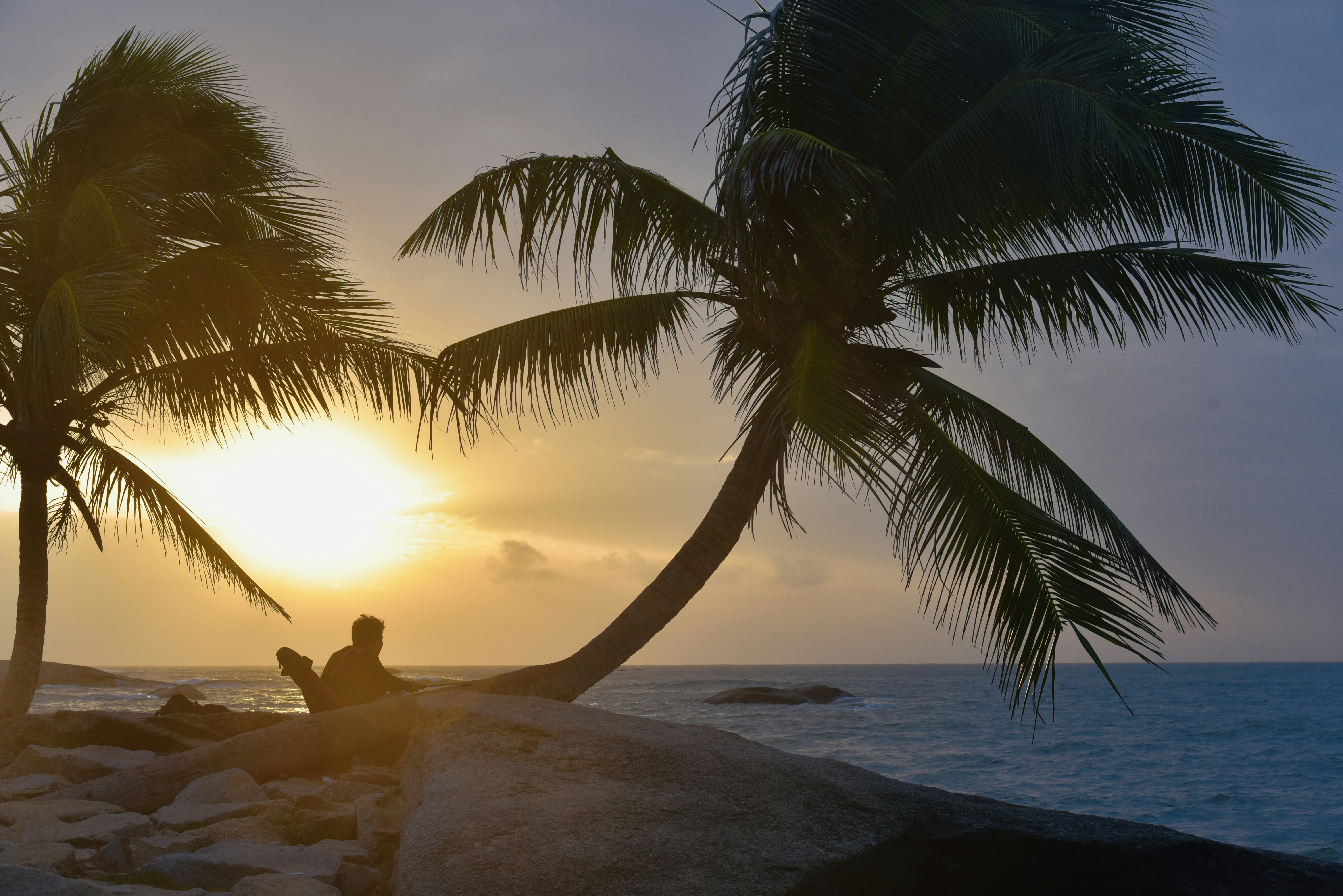 Photo by danny_chen_