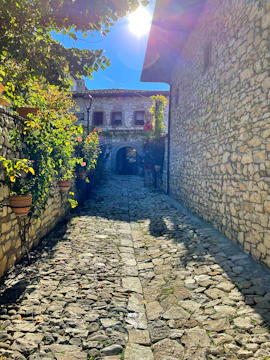 Sunlit cobblestone alley in a baroque village filled with colorful flowers.