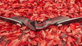 A sleek, modern black and red bow rests on a bed of vibrant red autumn leaves. The bow features smooth, polished surfaces with a subtle pattern, contrasting against the natural and textured background of leaves.