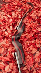 A black and red recurve bow is placed on a bed of vibrant red and orange autumn leaves. The leaves create a contrasting background that makes the bow stand out with its sleek design.